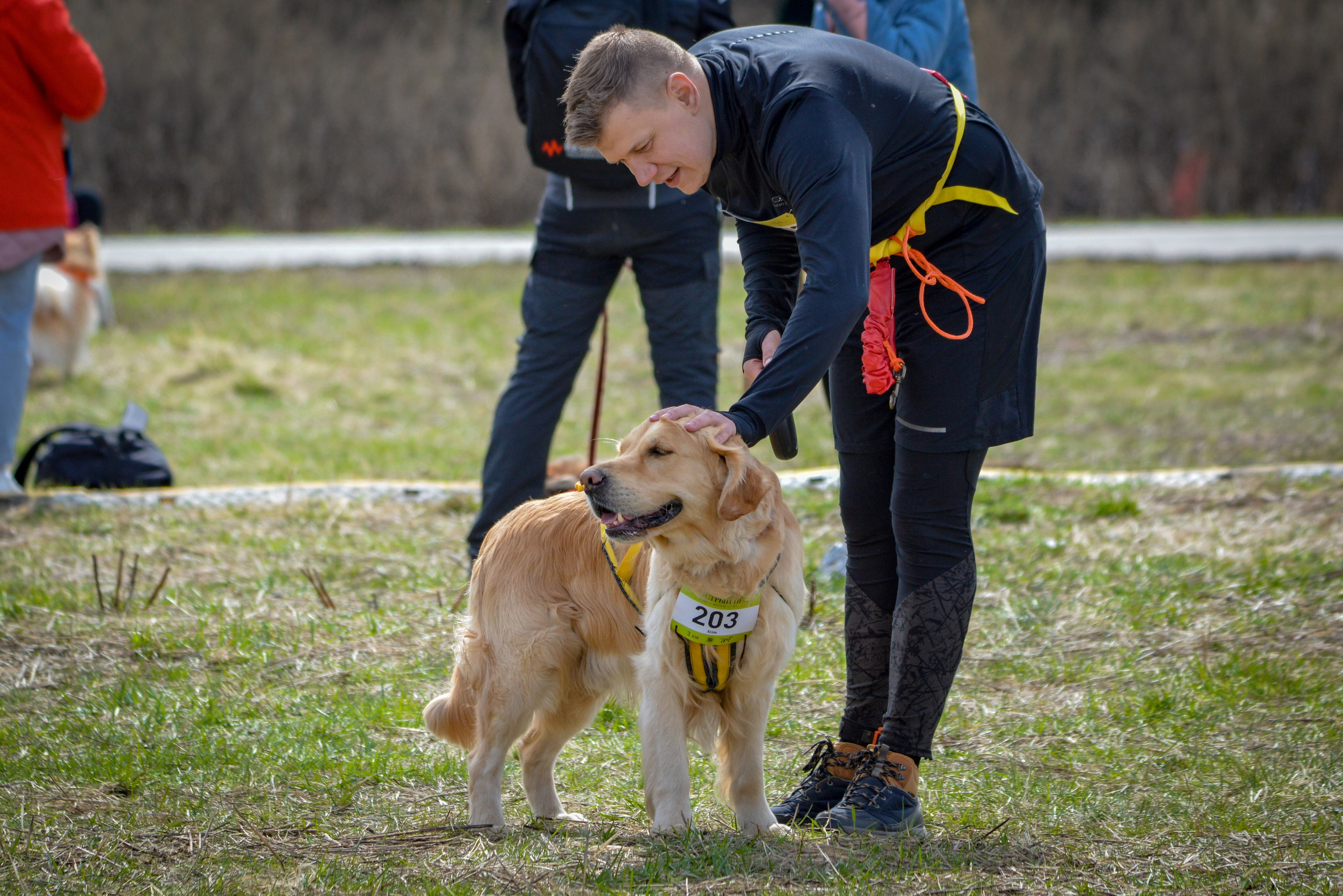 Кросс «Быстрый Пёс» — 15.04.2023. AlexFecto — галереи фотографий