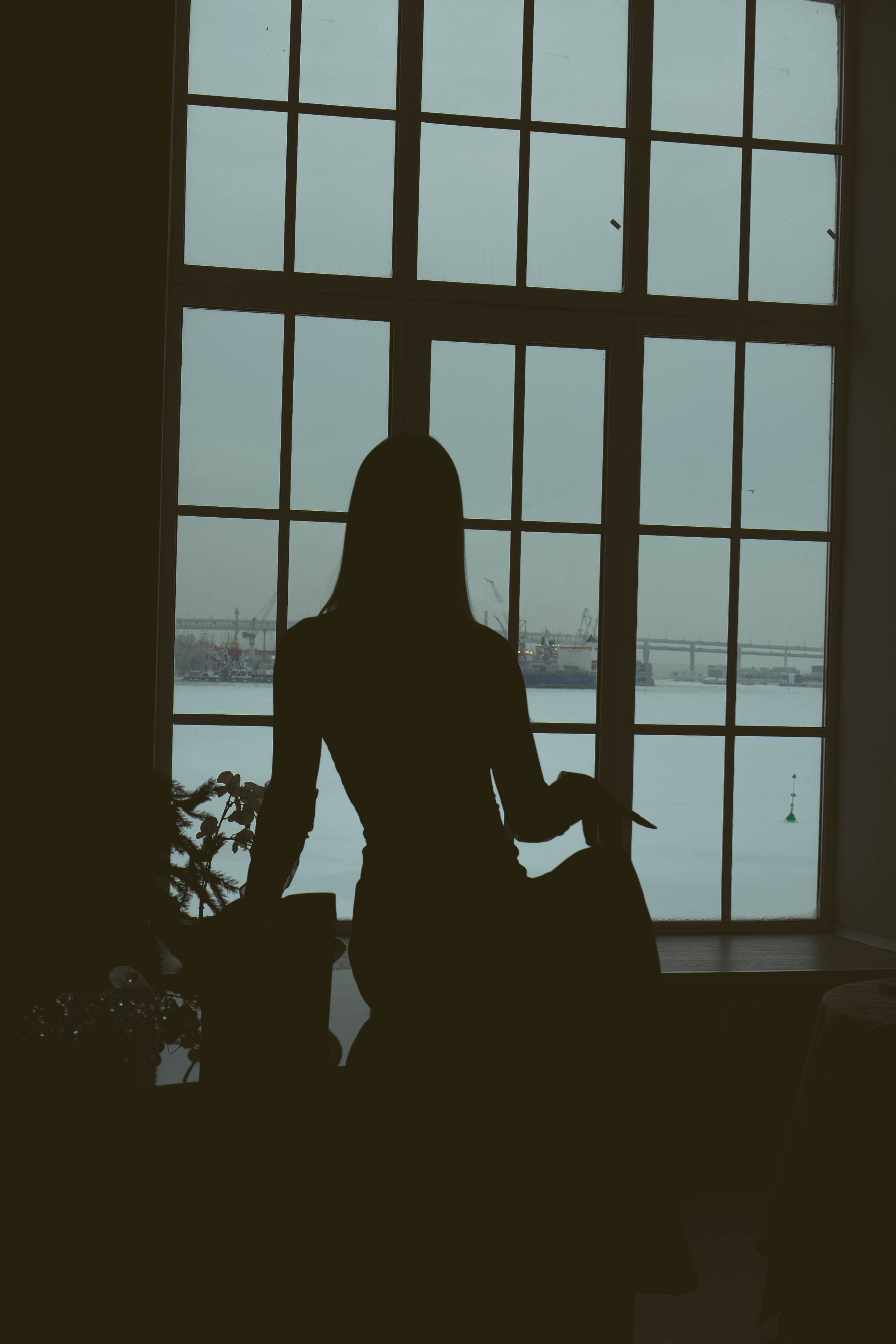 Новогодняя. Профессиональный фотограф, Санкт-Петербург — Виктория Богомолова