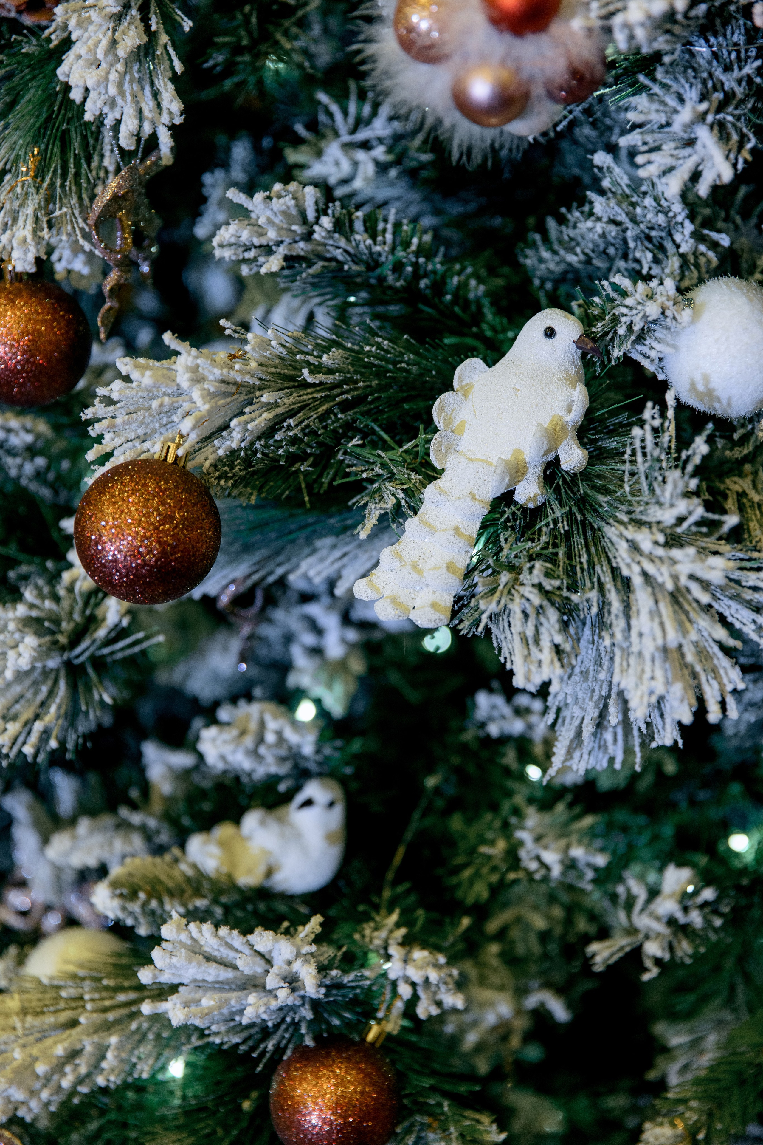 ПОКОЛЕНИЕ БУДУЩЕГО. Фотограф в Красноярске