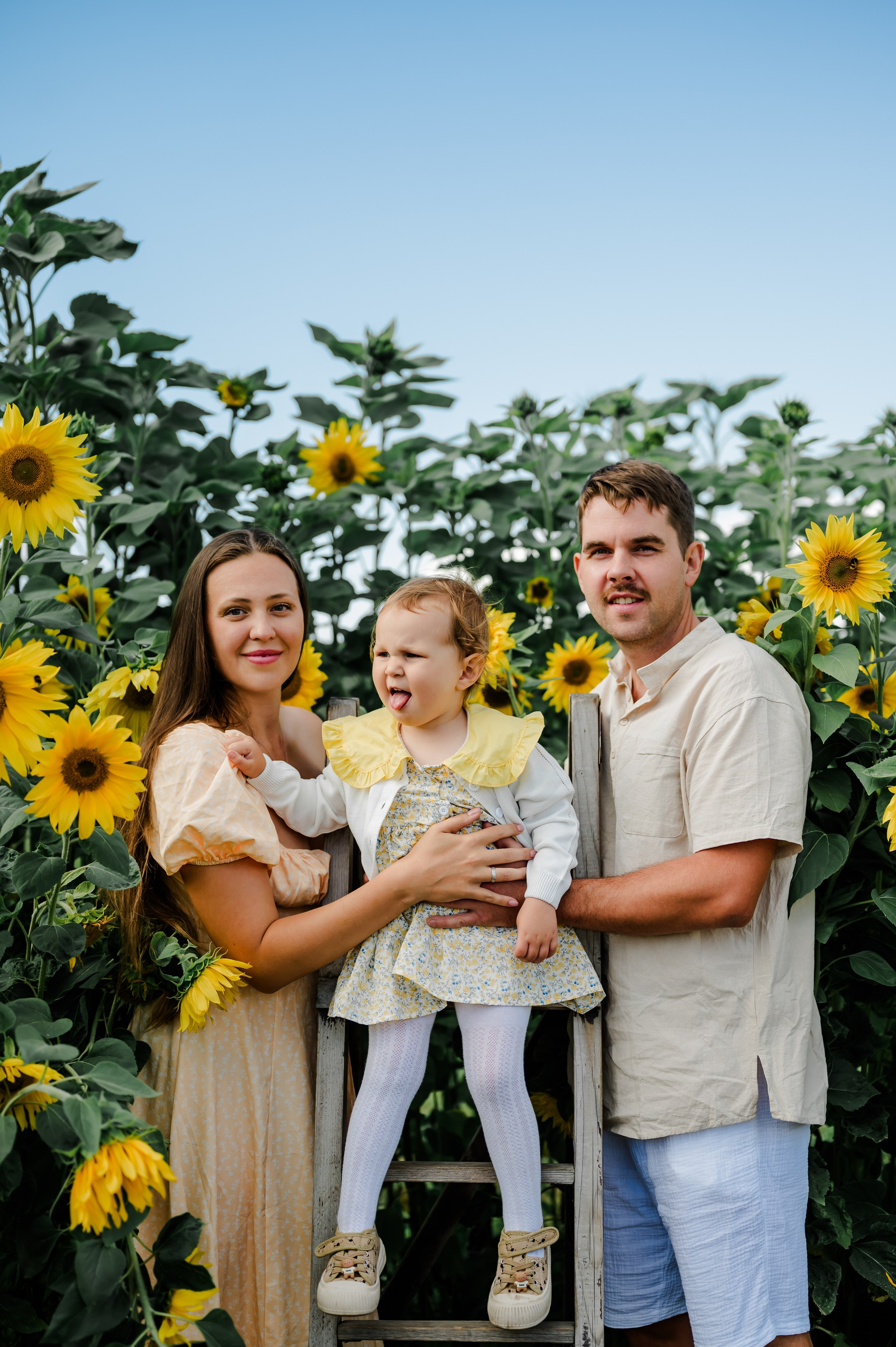 Подсолнухи. Свадебный и семейный фотограф Евгения Кононова