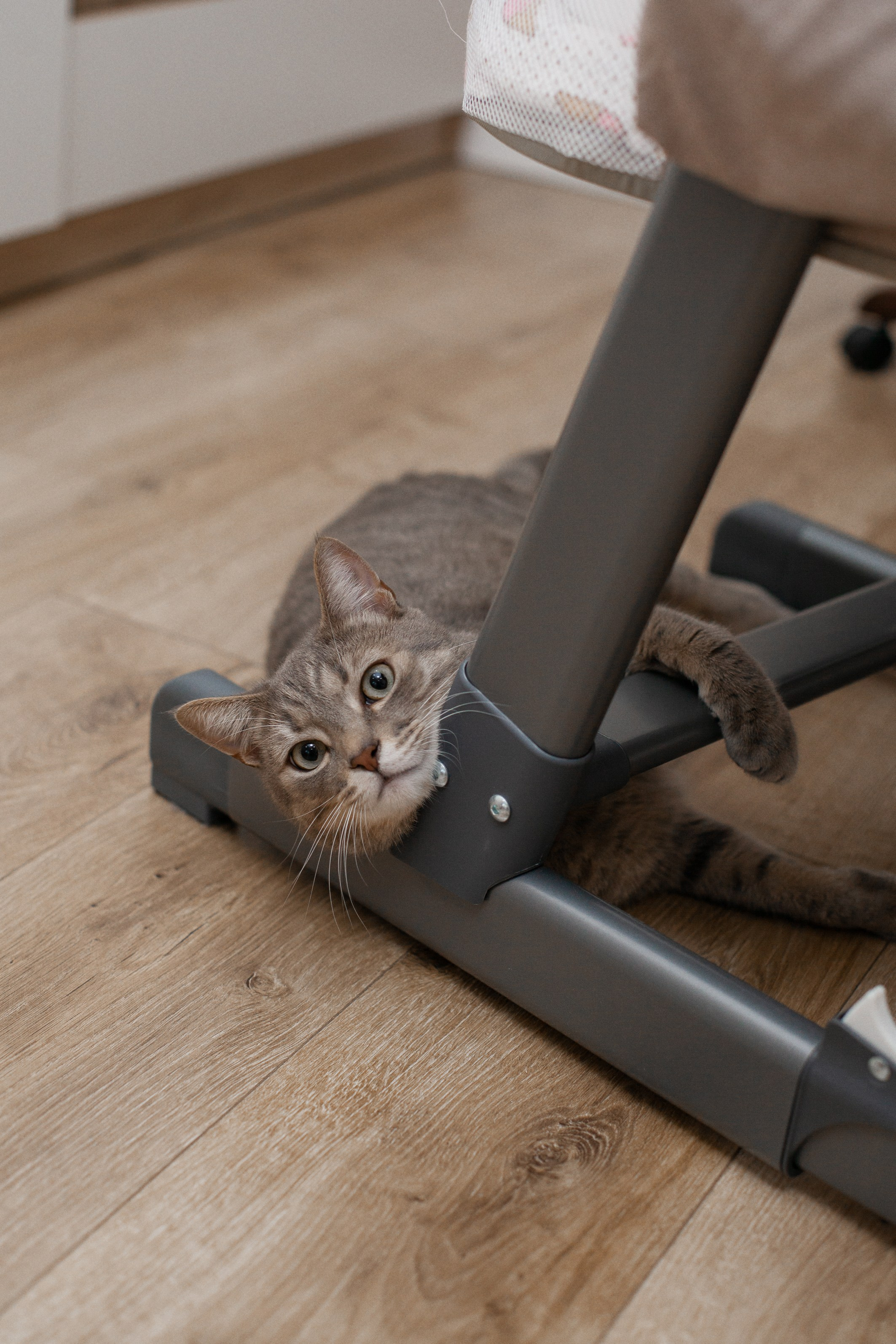 Домашняя съемка. Фотограф Яна Артемьева