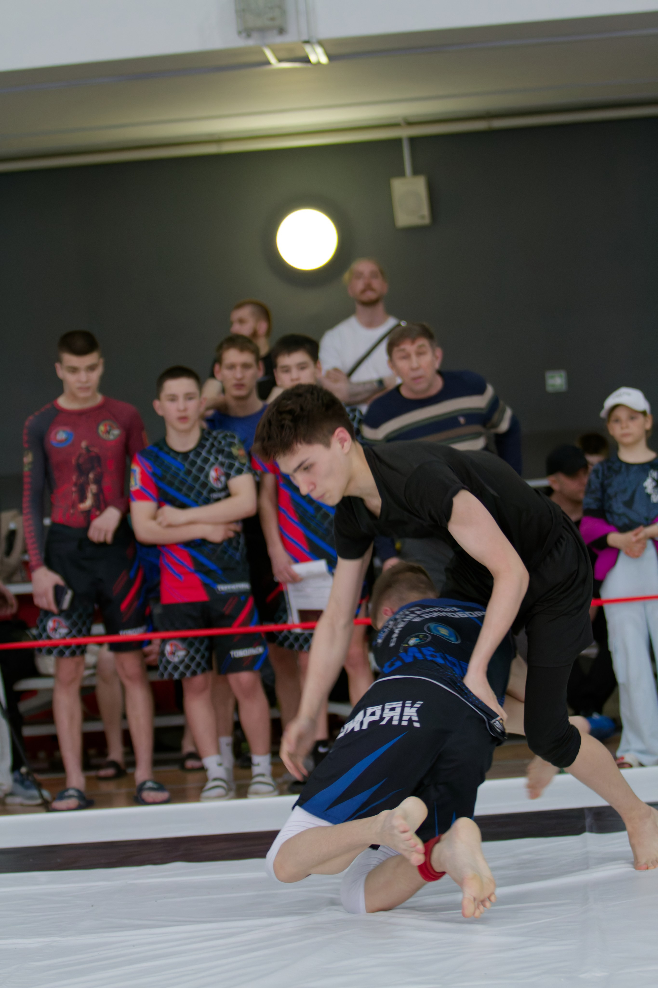 Борьба. Джиу-джитсу 26.04.2025. Репортажный и спортивный фотограф в г. Пермь Зильберг Павел