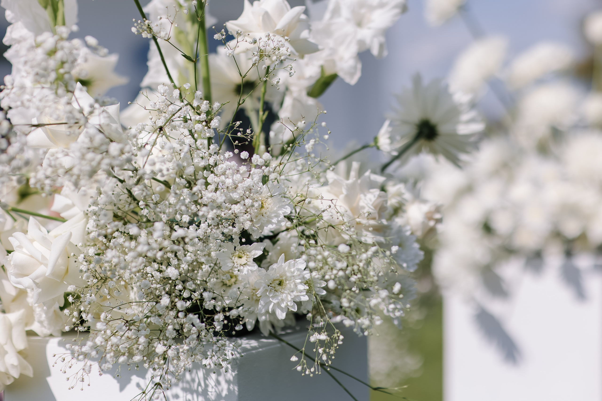 Aleksey&Viktoriya. Свадебный фотограф