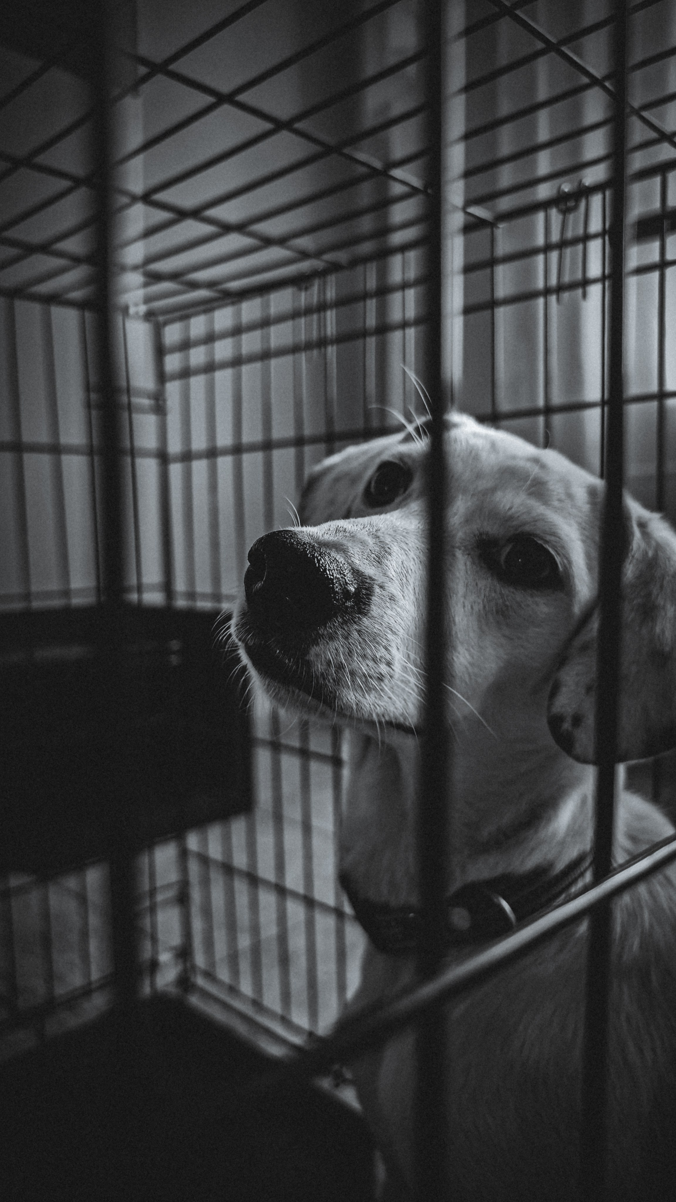 Ожидание. Игорь Урывский. Фотограф Красноярск