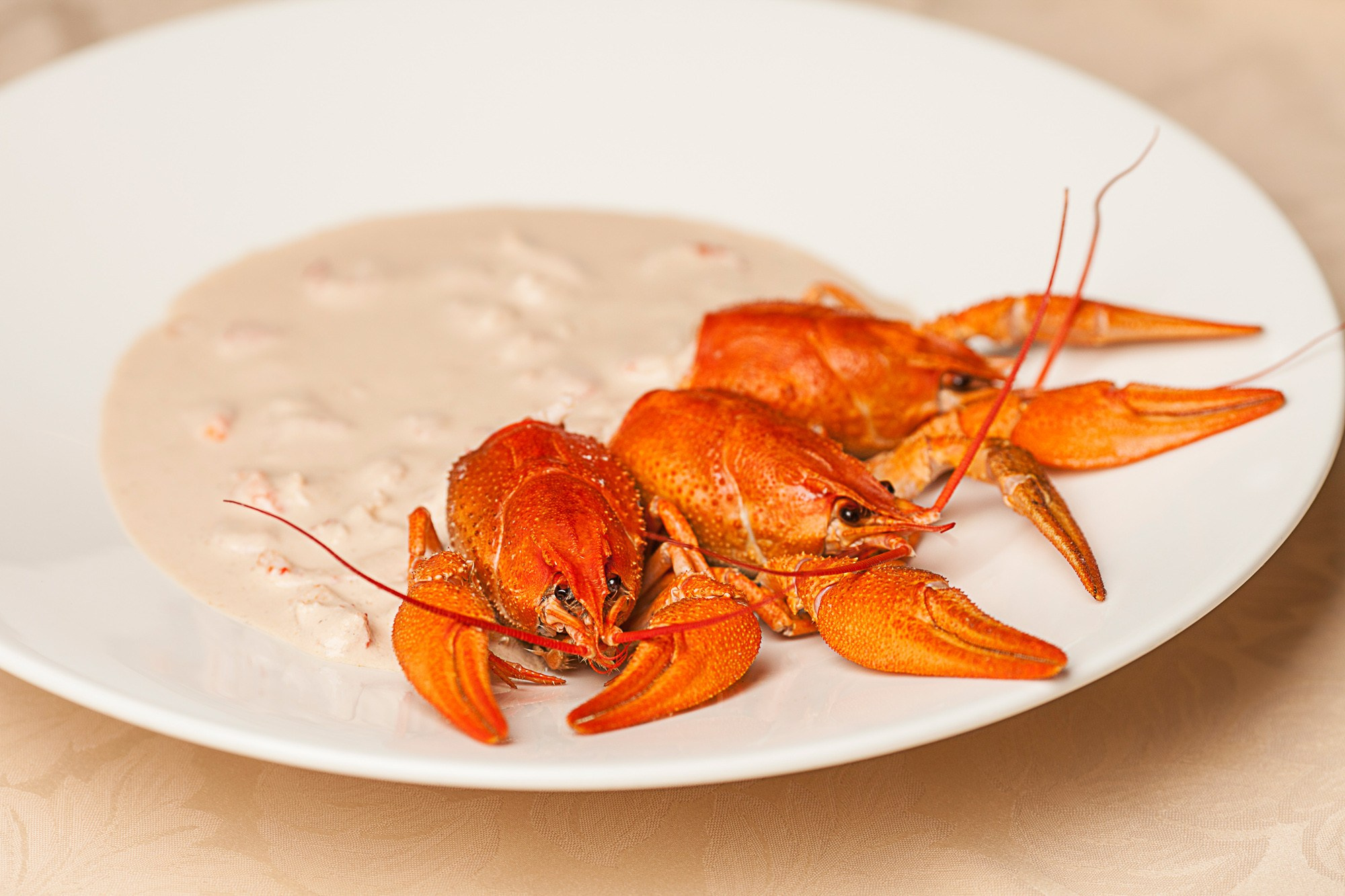 Фудфото. Фотоателье и полиграфия | Красивые фотосессии, сувениры с фото | Ремонт смартфонов, ноутбуков и техники в Коломне Zinovyev Team