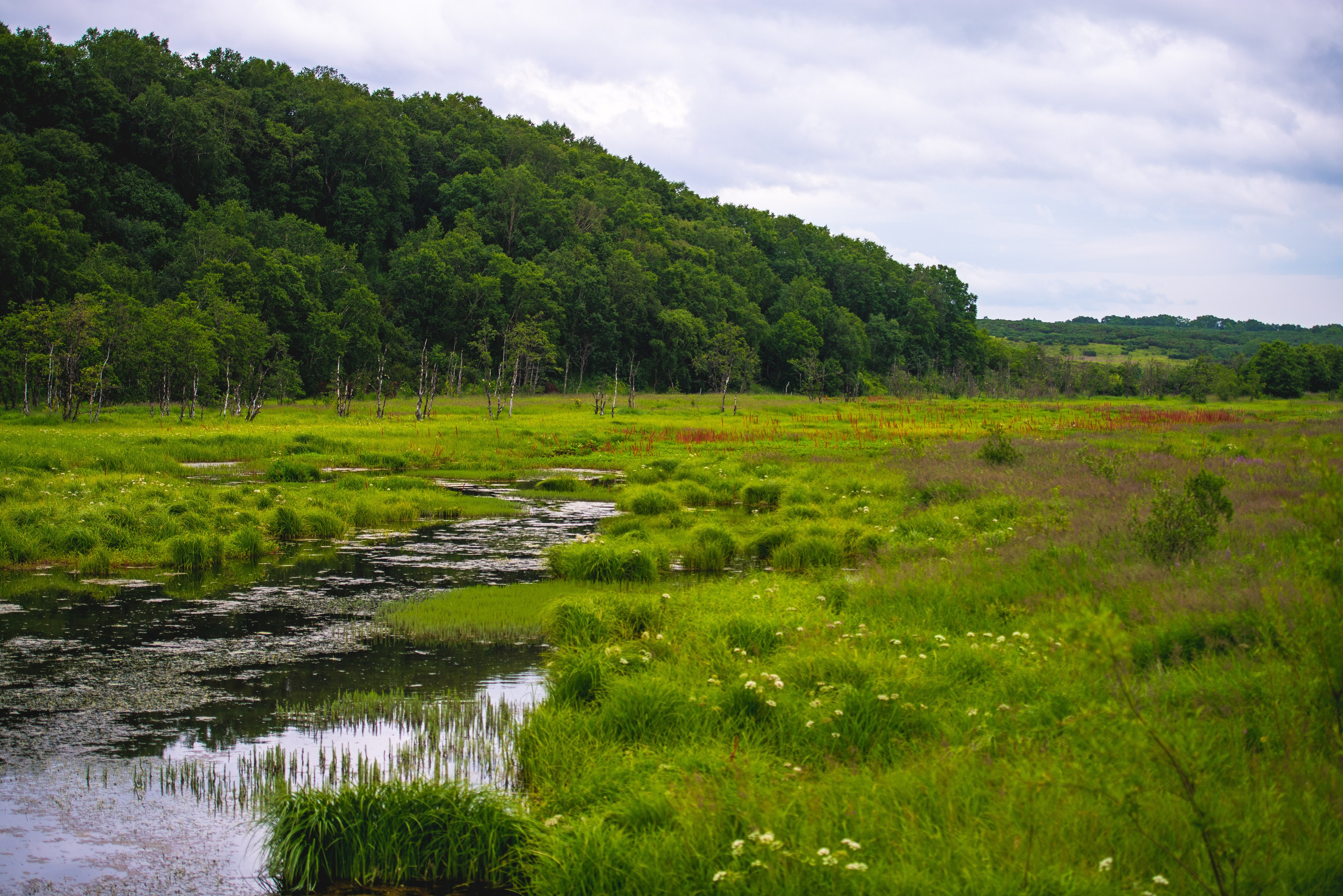 Камчатка. Фотограф в Санкт-Петербурге Вихтинский Николай