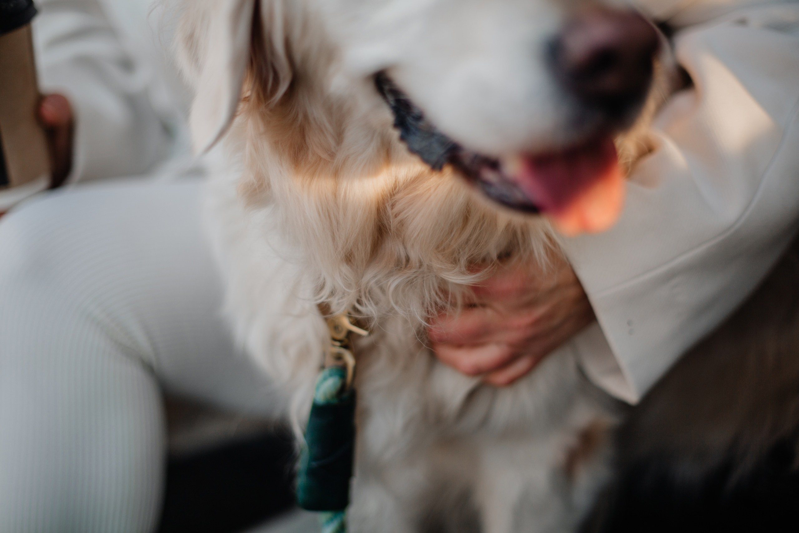 Про фотографа ❤. Фотограф Алёна Дарьина