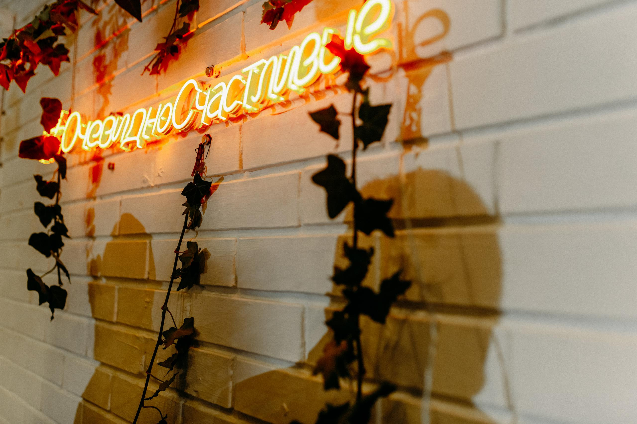 Павел и Ксения. Организация и координация свадебных и семейных торжеств