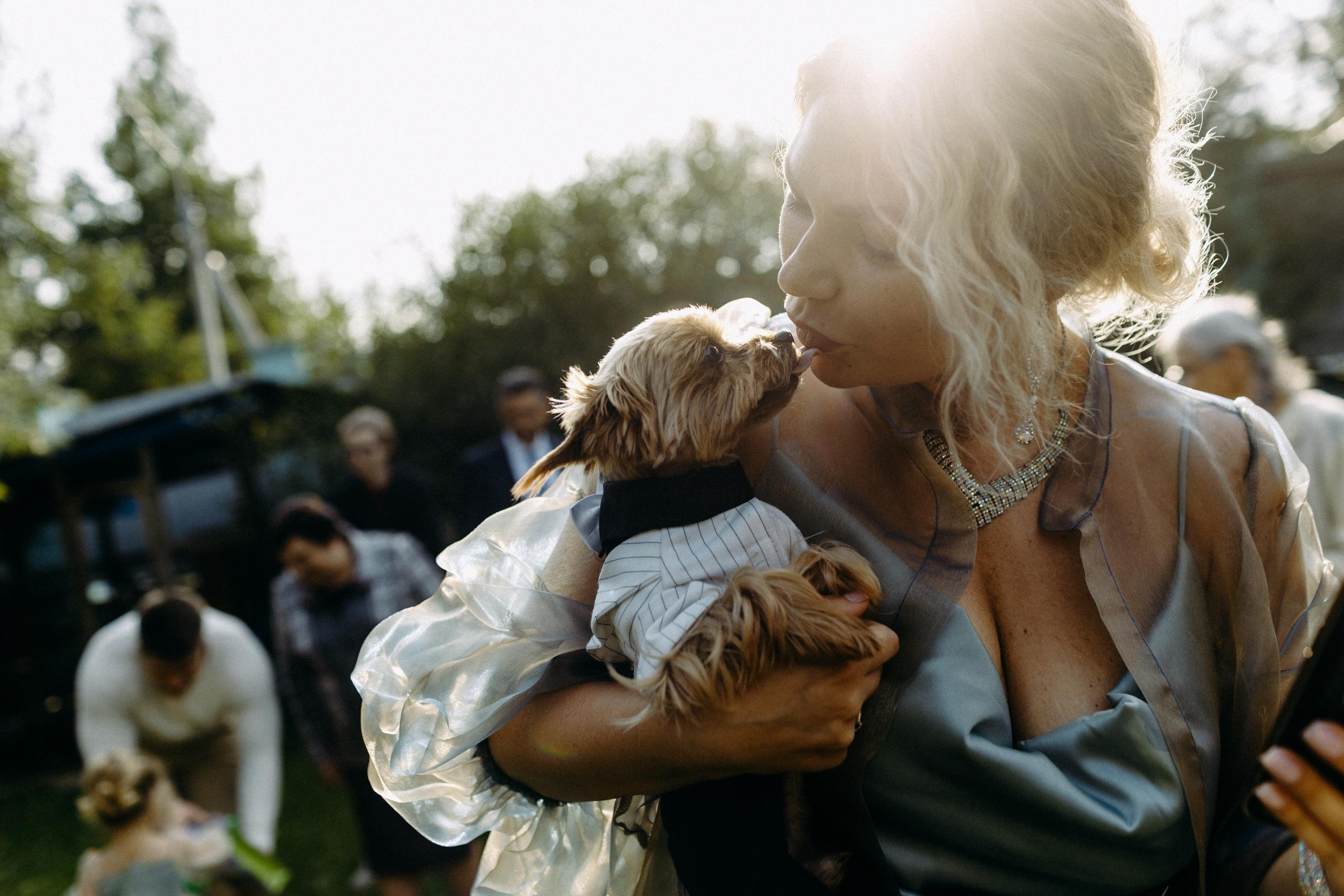 Павел и Ксения. Организация и координация свадебных и семейных торжеств