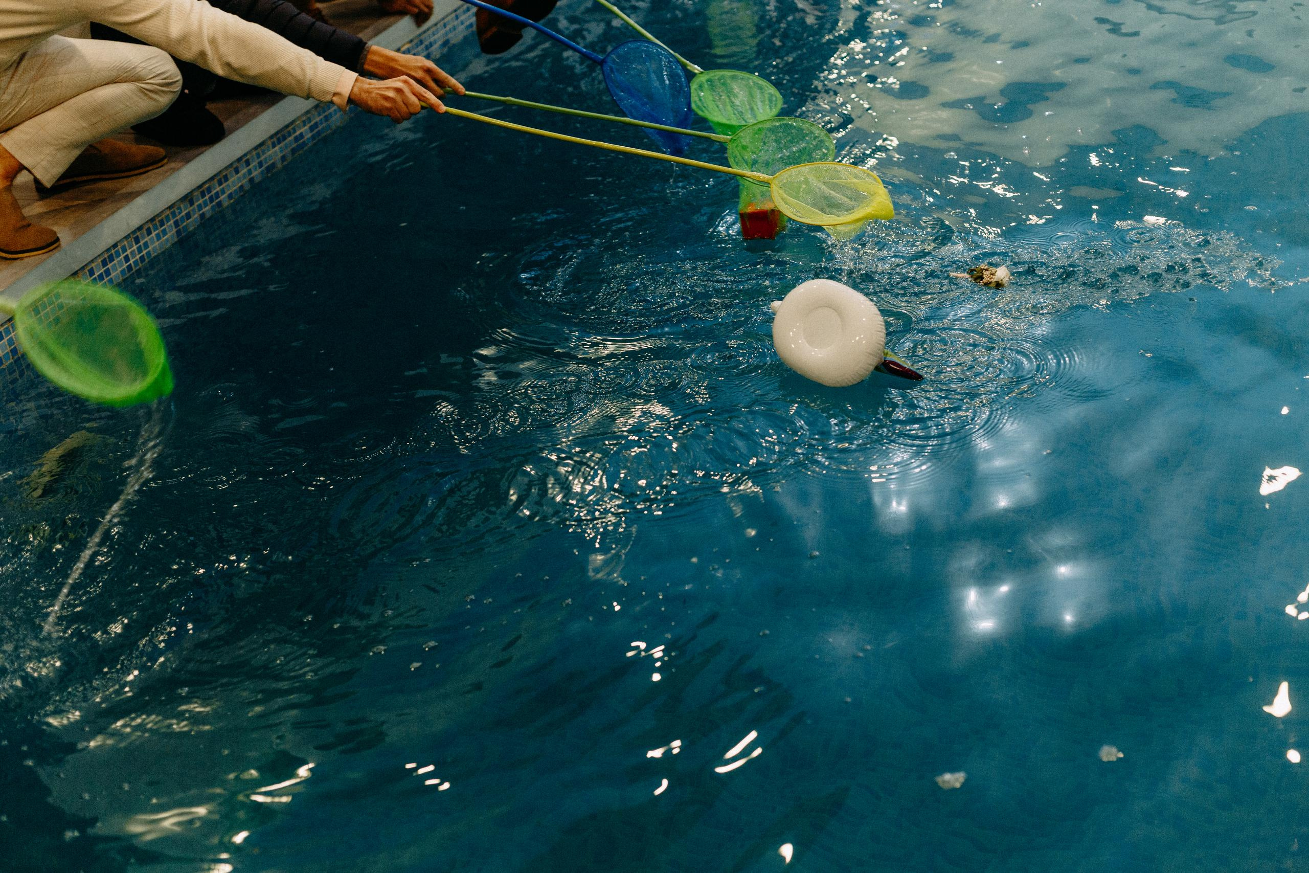 Павел и Ксения. Организация и координация свадебных и семейных торжеств