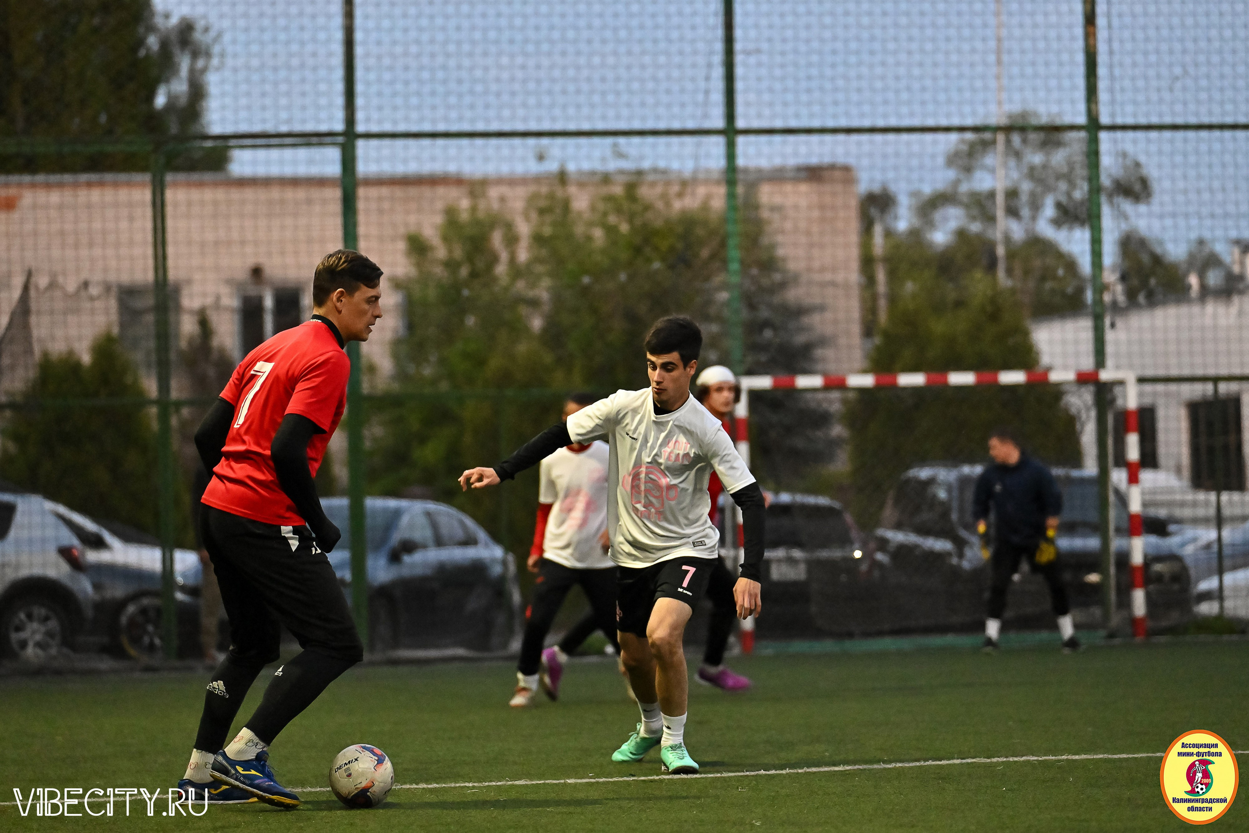 ИГРЫ МИНИ-ФУТБОЛЬНОЙ И КОРПОРАТИВНОЙ ЛИГИ. VIBECITY.RU Вайб Сити Ру Фоторепортажи Фотоотчеты Калининград