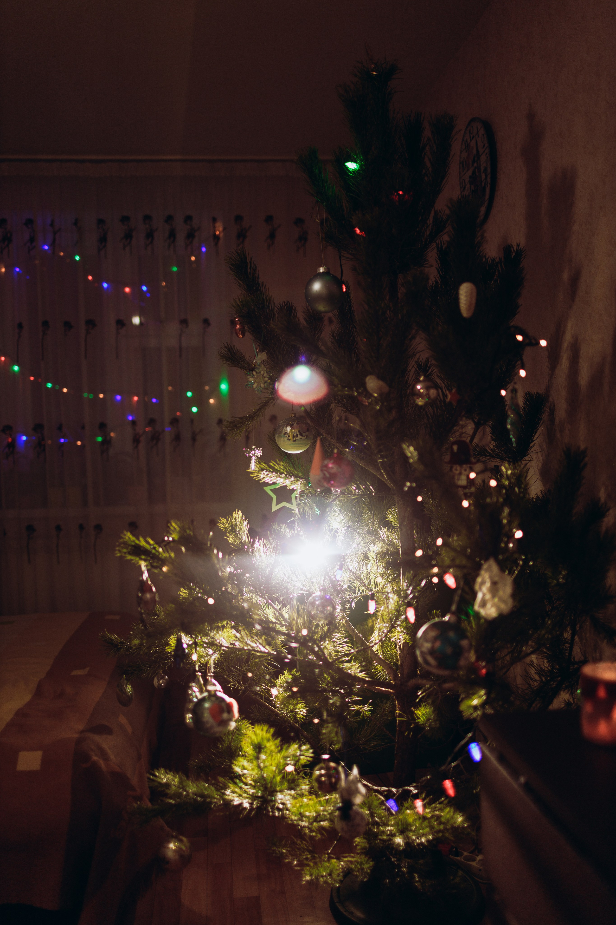 Маша. Портретный и свадебный фотограф в Белгороде Глухова Кристина