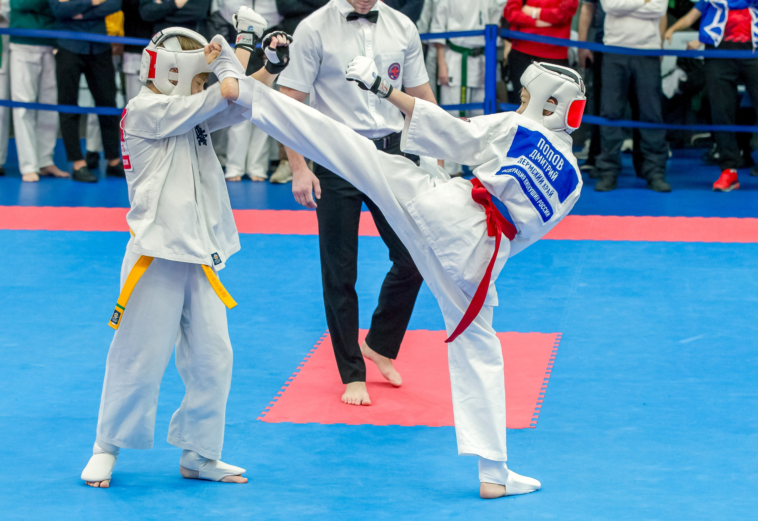 Соревнования по Киокушин памяти С. Увицкого. Репортажная съемка в Москве и области. Анималистика