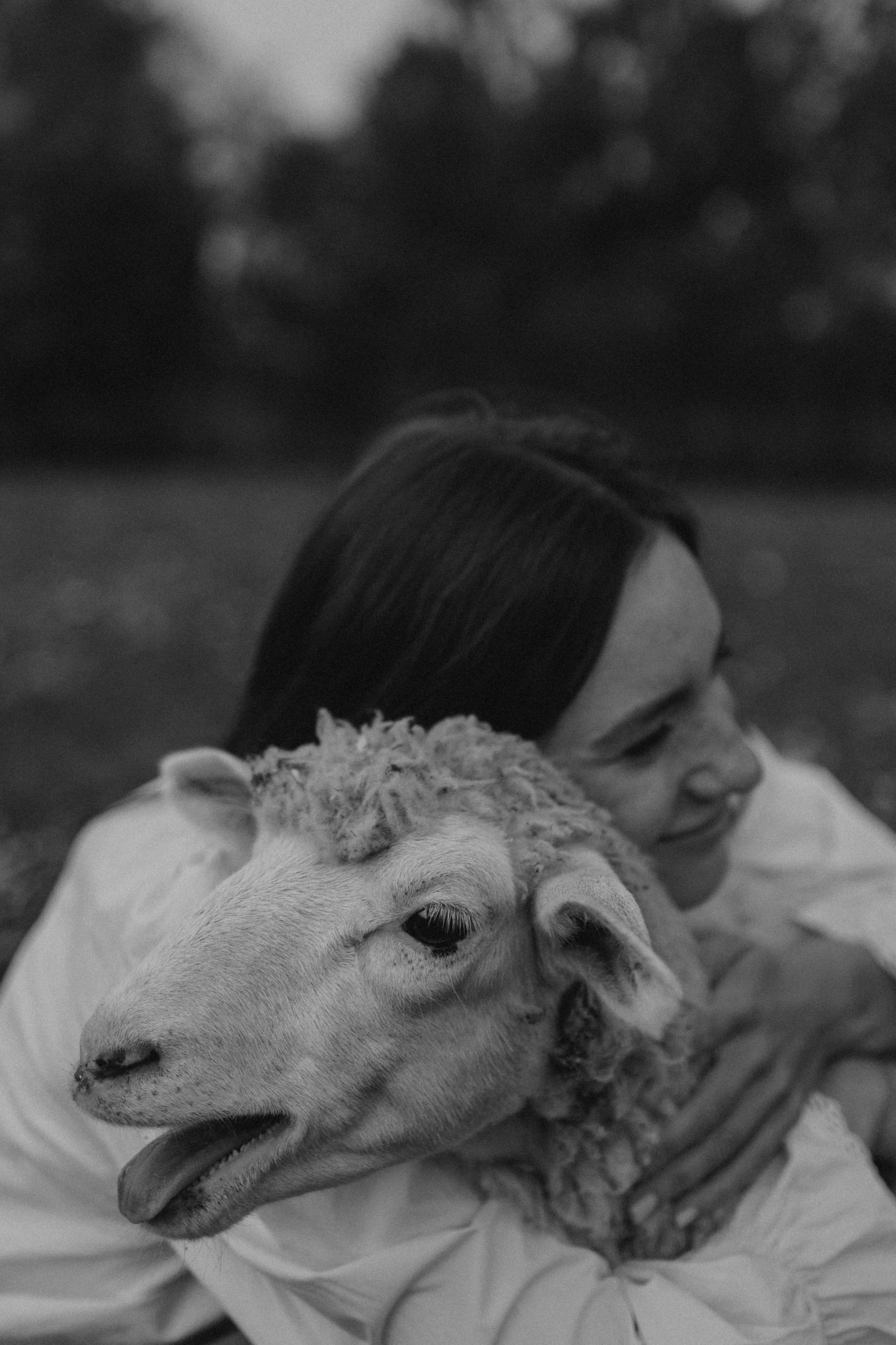 Семейная. Фотораф — анималист Мария Шистка