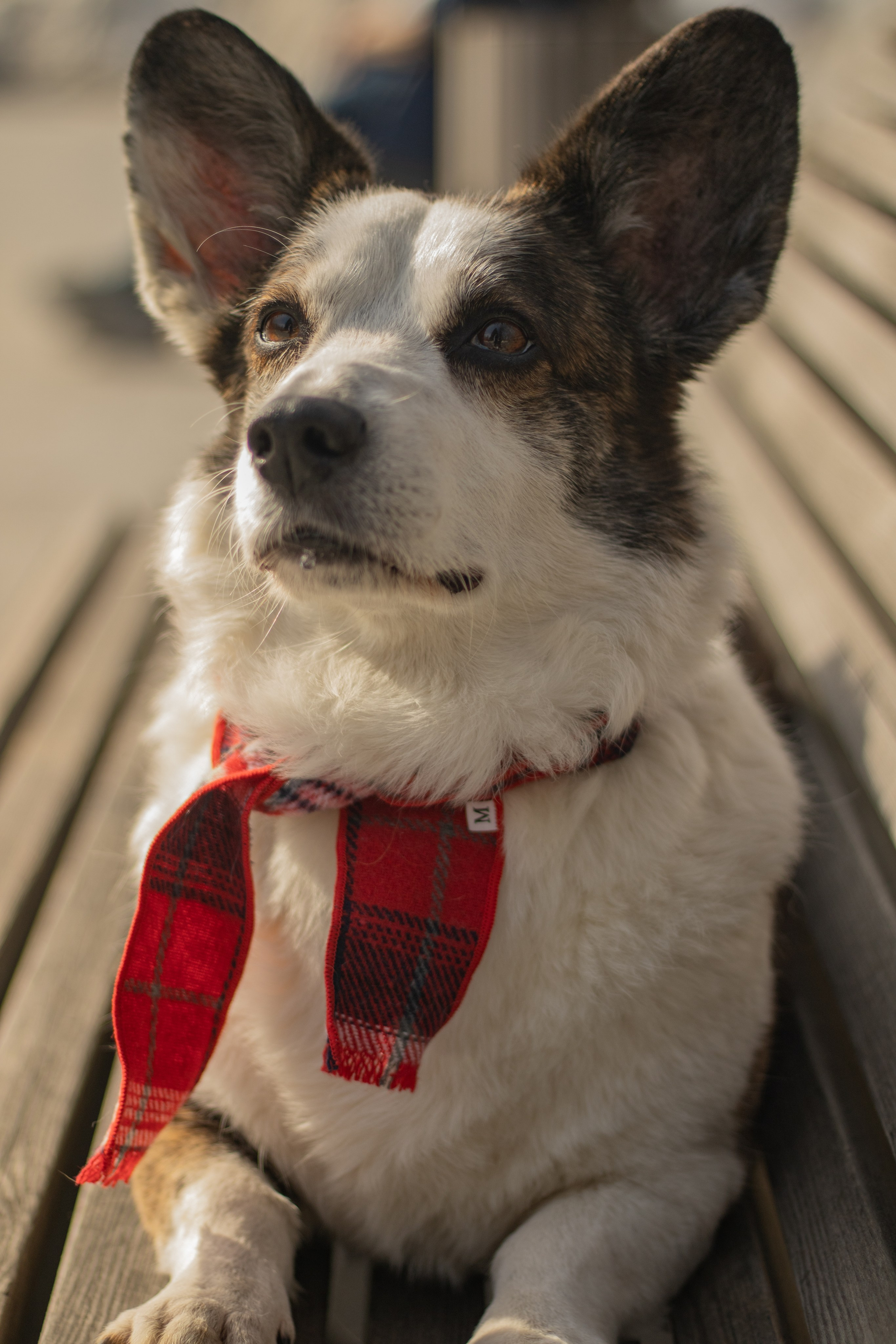 Юлия и Тэя. Катя Попова|ЛайфСтайл фотограф