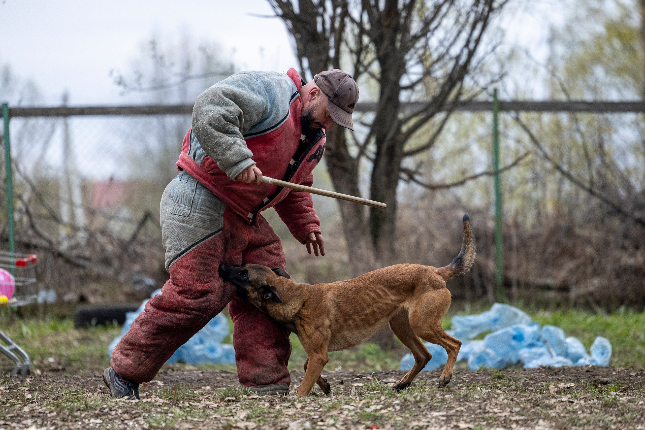 Квалификационные состязания по мондьорингу г. Вологда 11.05.24. Фотограф-анималист Анна Маринич