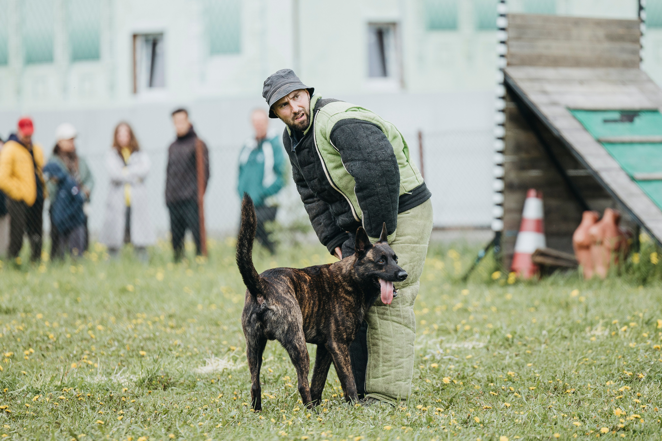 26.05.25 г. Пушкин квалификационные соревнования. Фотограф-анималист Анна Маринич