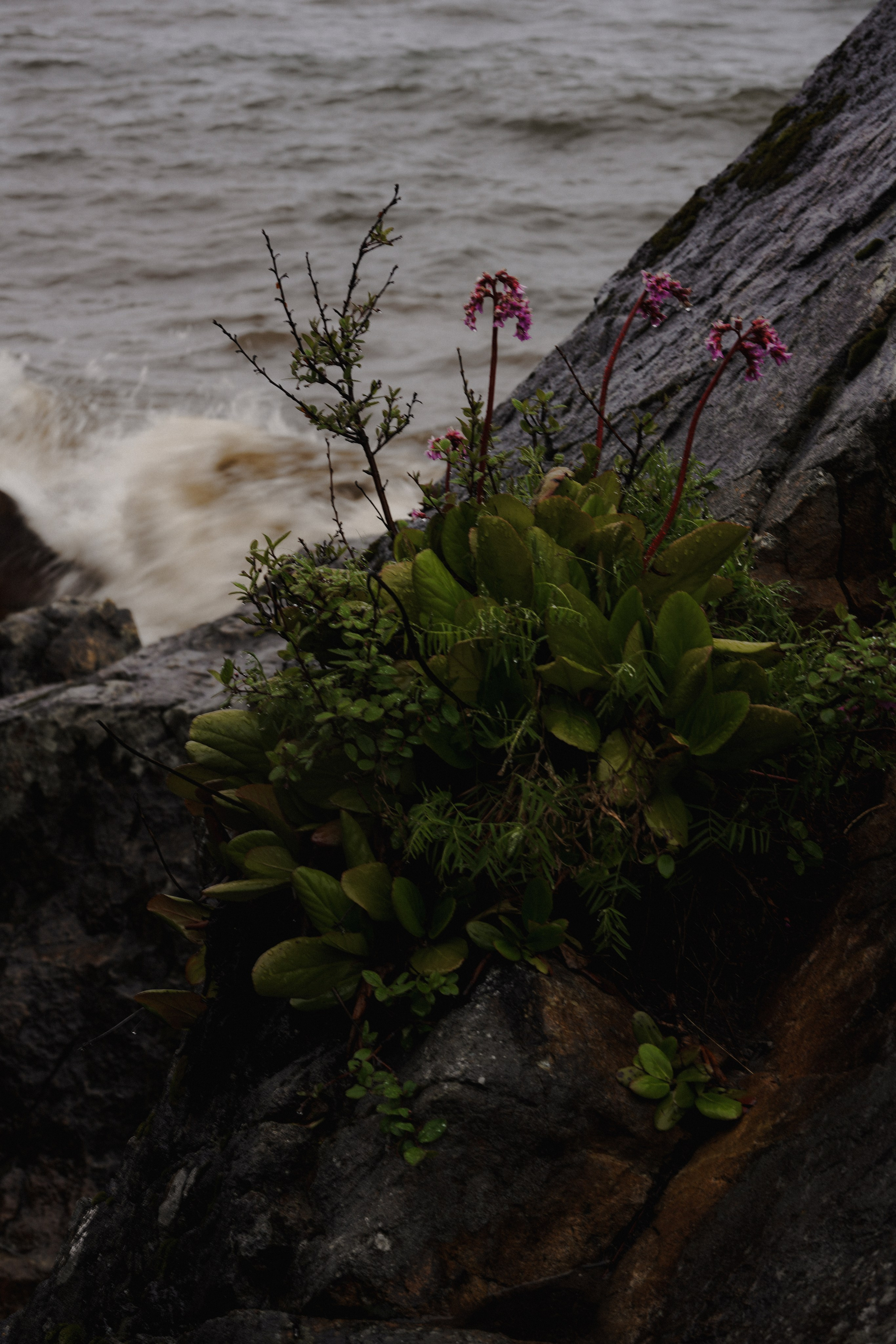 BAIKAL 06|24. Фотограф Виктория Виноградова