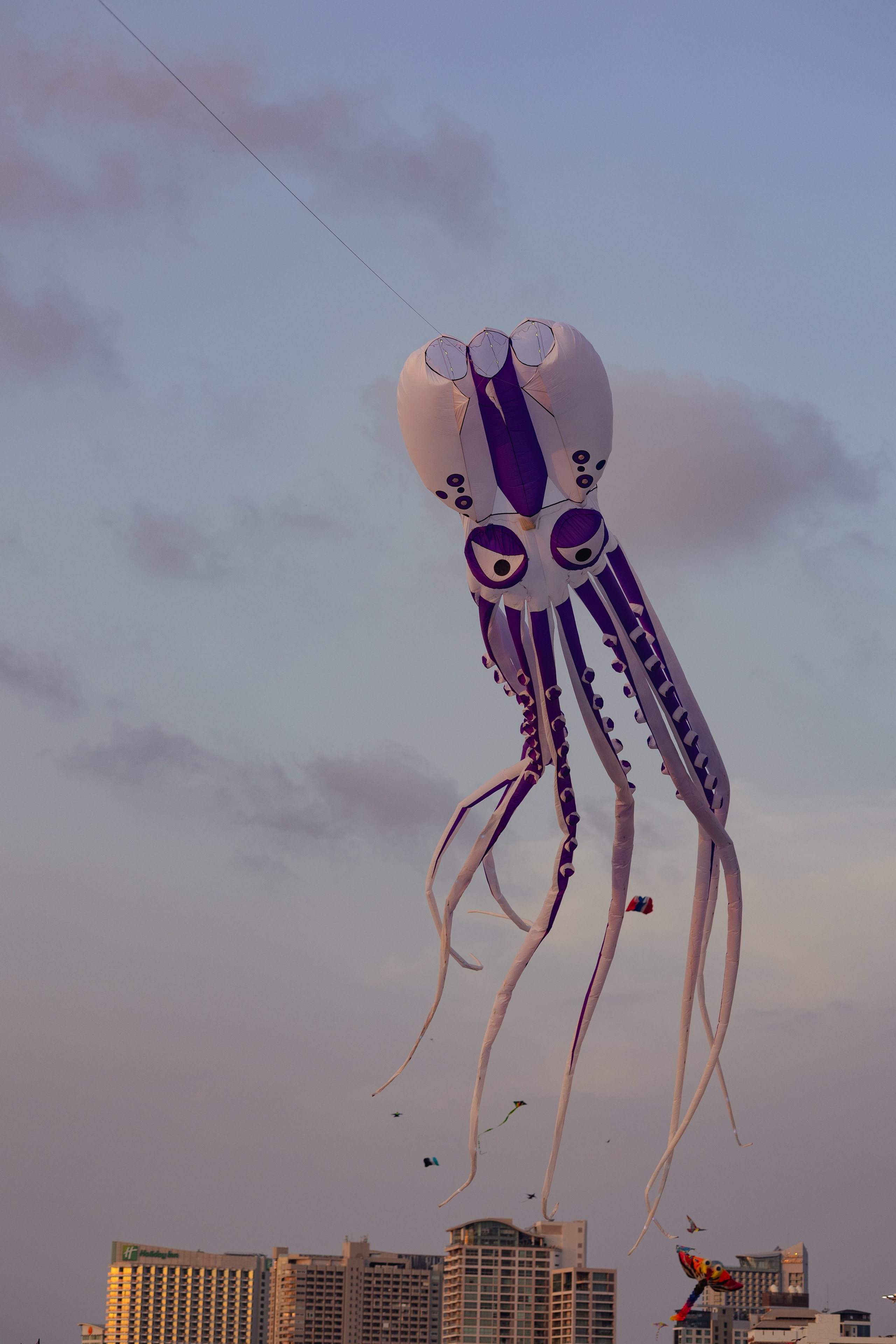 PATTAYA INTERNATIONAL KITE ON THE BEACH 2024. Photographer Sonkina Tatiana (Tanya Ash)