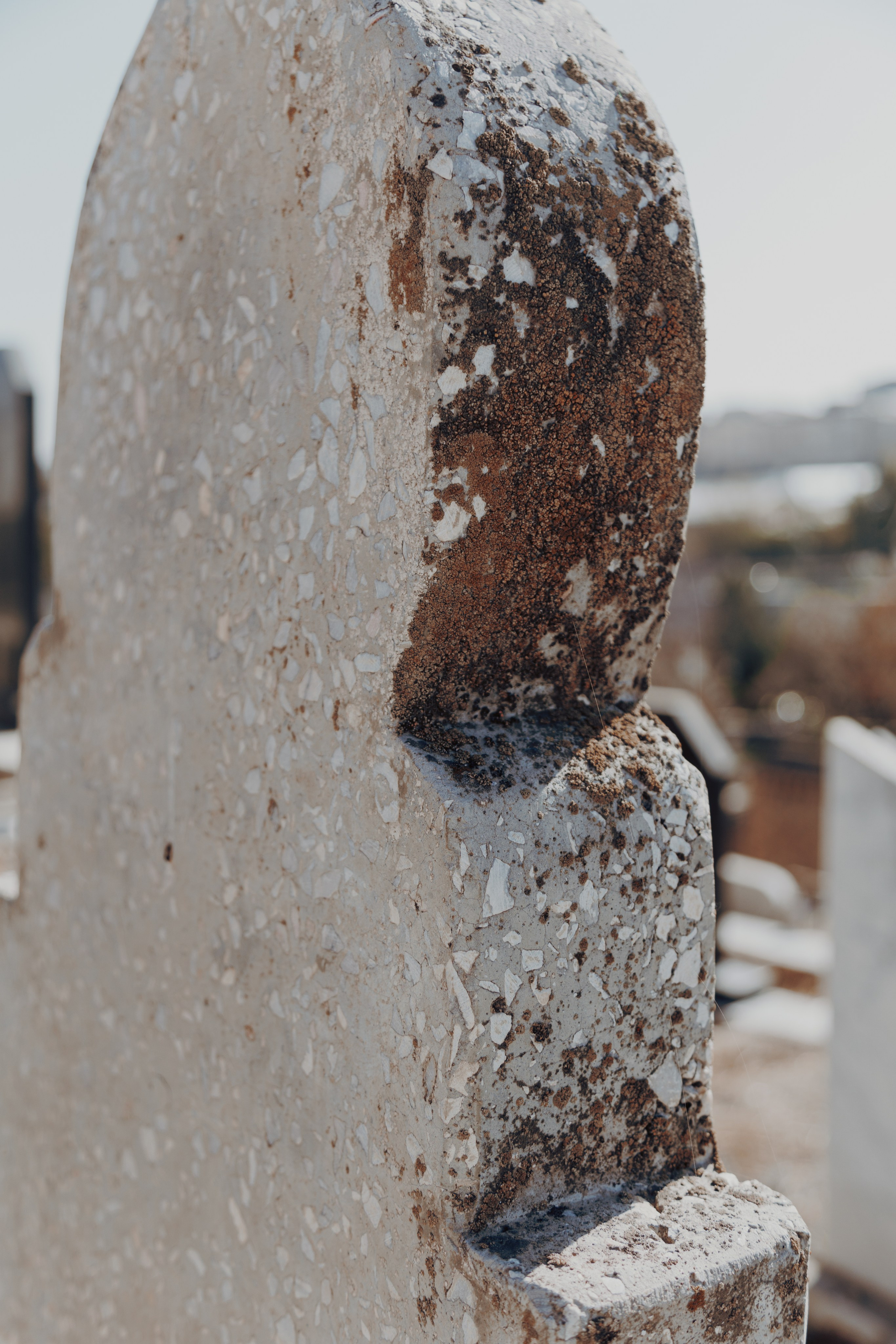 Узбекистан. Креатор Ольга Яш