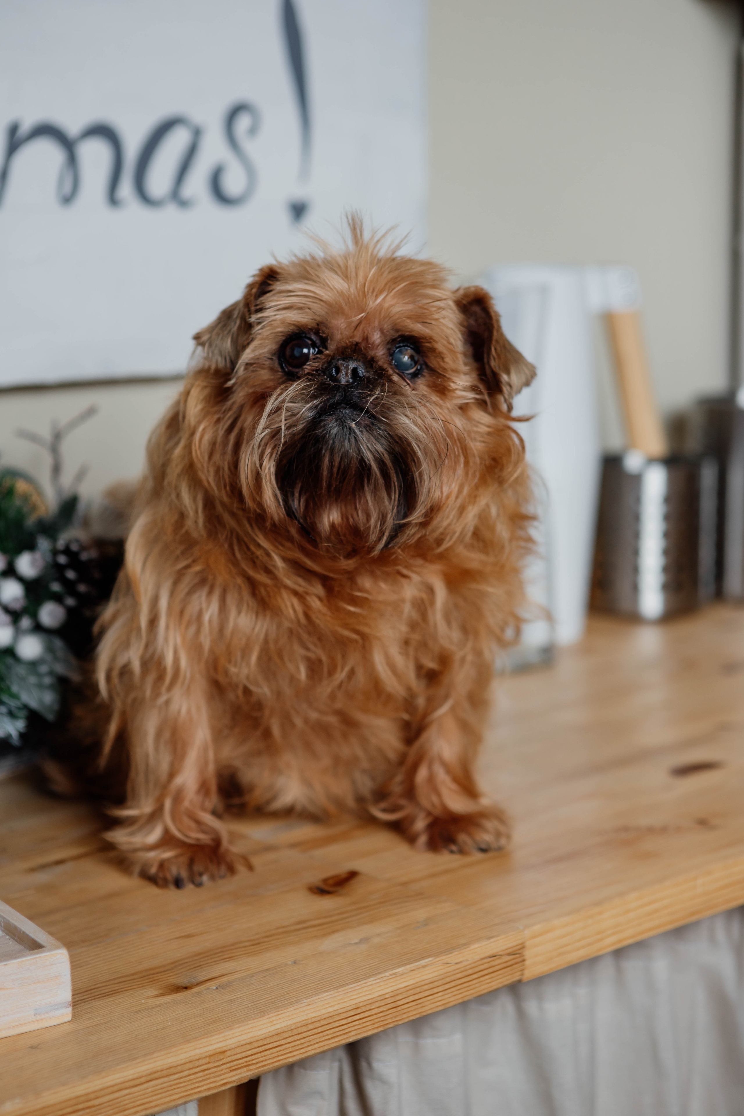 Женя. Свадебный и семейный фотограф в Санкт-Петербурге Лолита Евстифеева