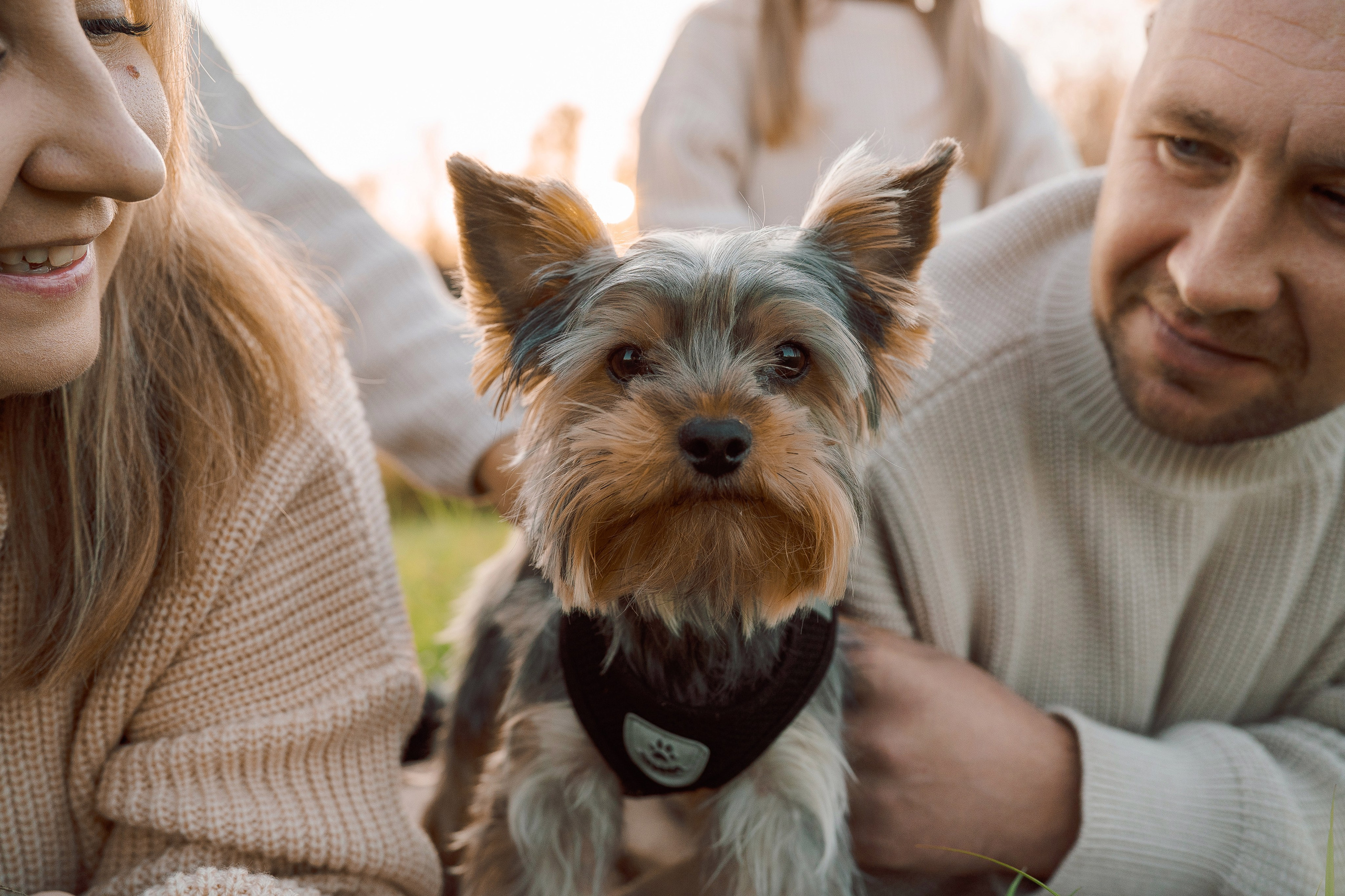 FAMILY. Видеограф Томск, Томская область, Сибирь