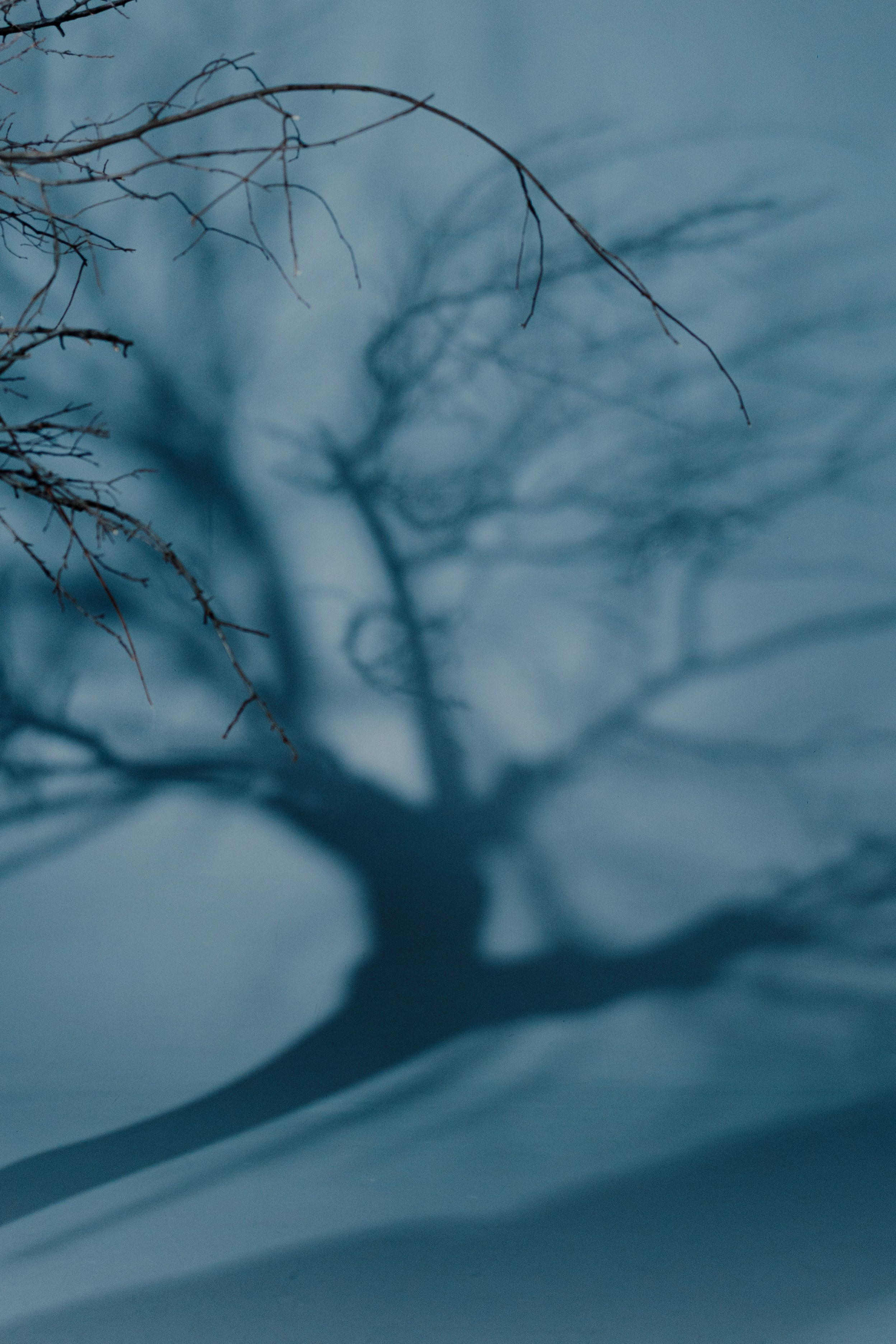 Blue sky. Shakhmanoff.kz