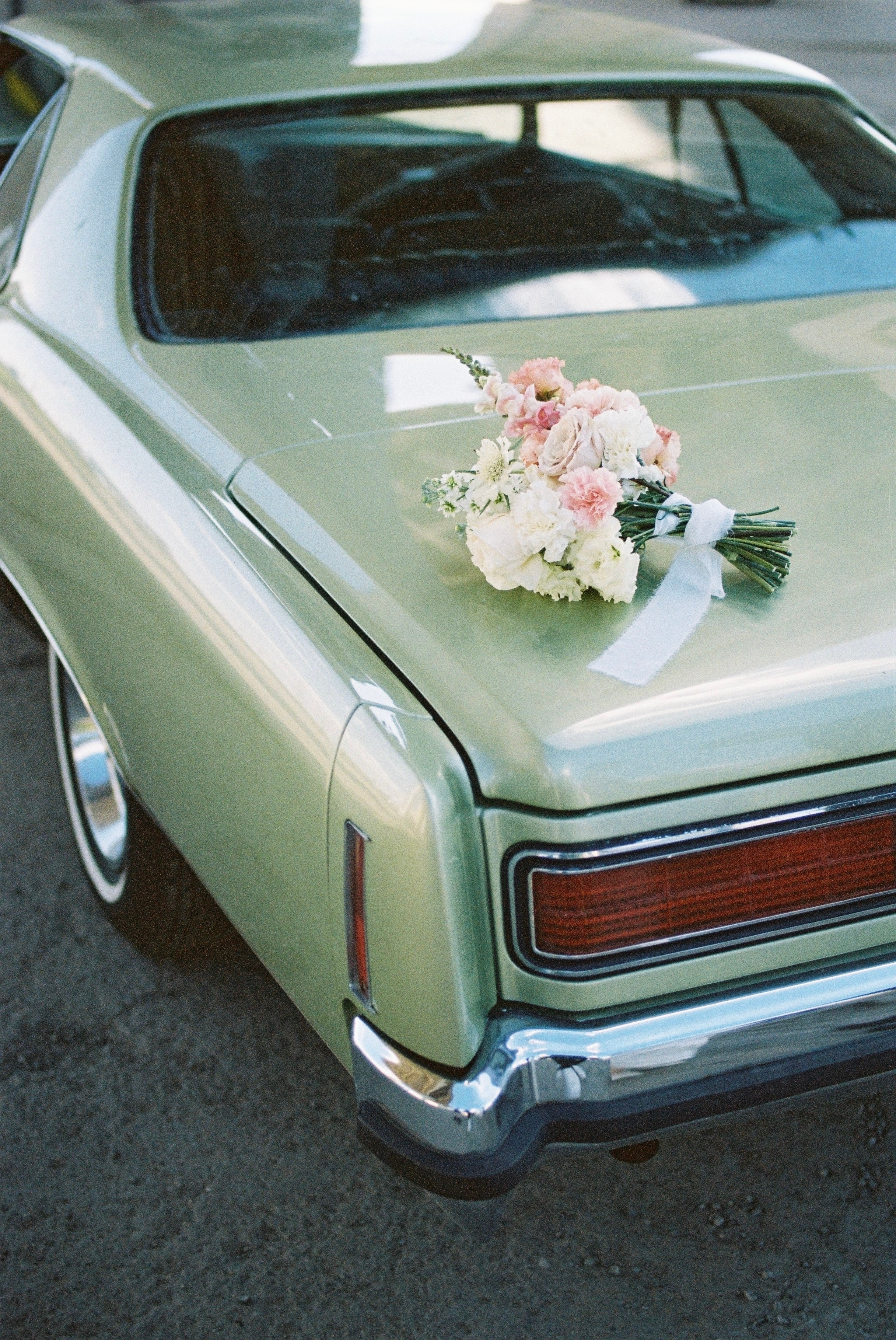 Плёнка. Wedding reels and photo