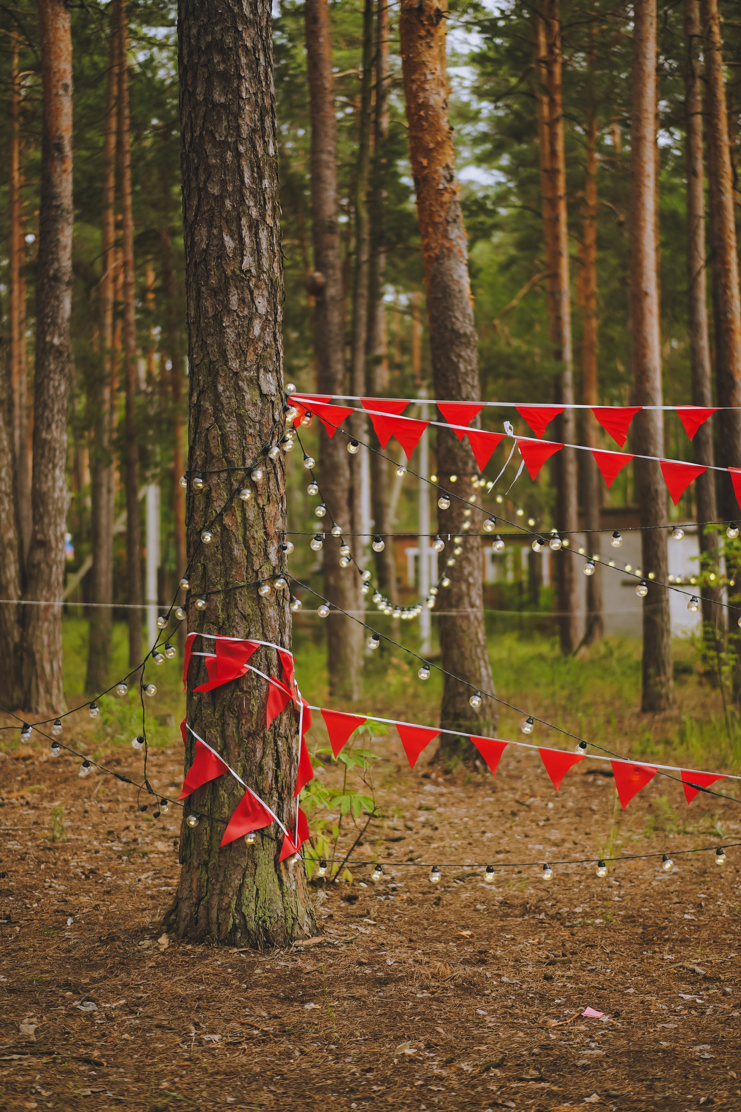 Палаточный форум CAMPot 2025. Фотограф Надежда Погребняк | Рязань | Москва