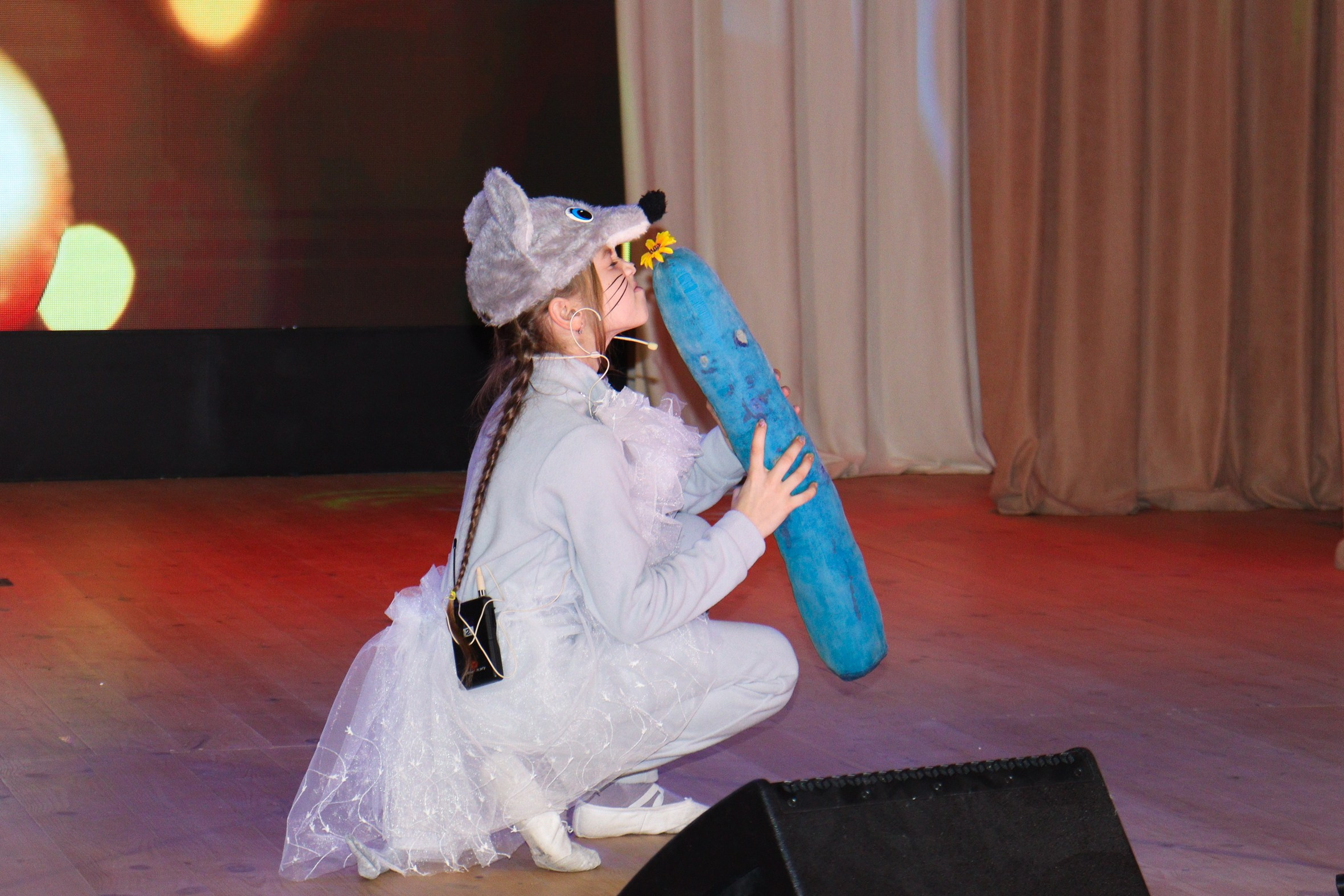 Новогодний концерт Шишли-Мышли