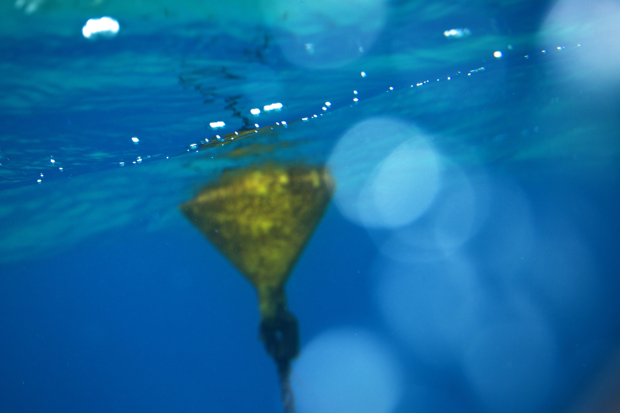 Под водой. Миша Печёнкин | фотография