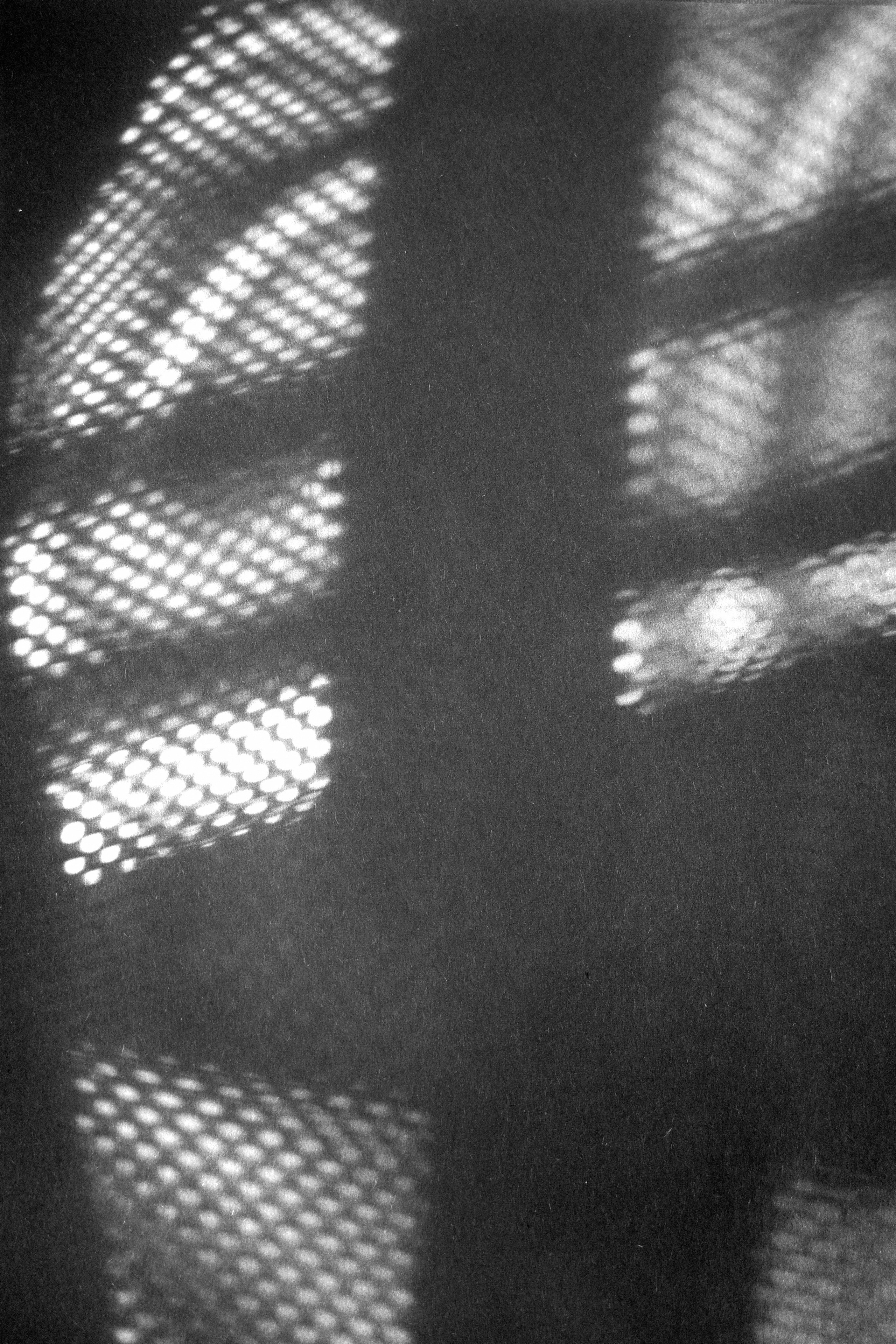 Сетка 🏁. Миша Печёнкин | фотография