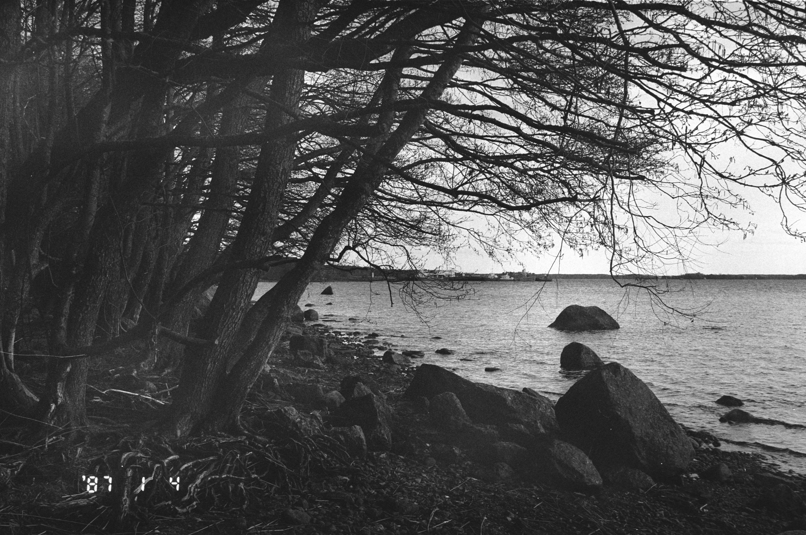 Градации. Фотограф в Санкт-Петербурге Березовский Даниил