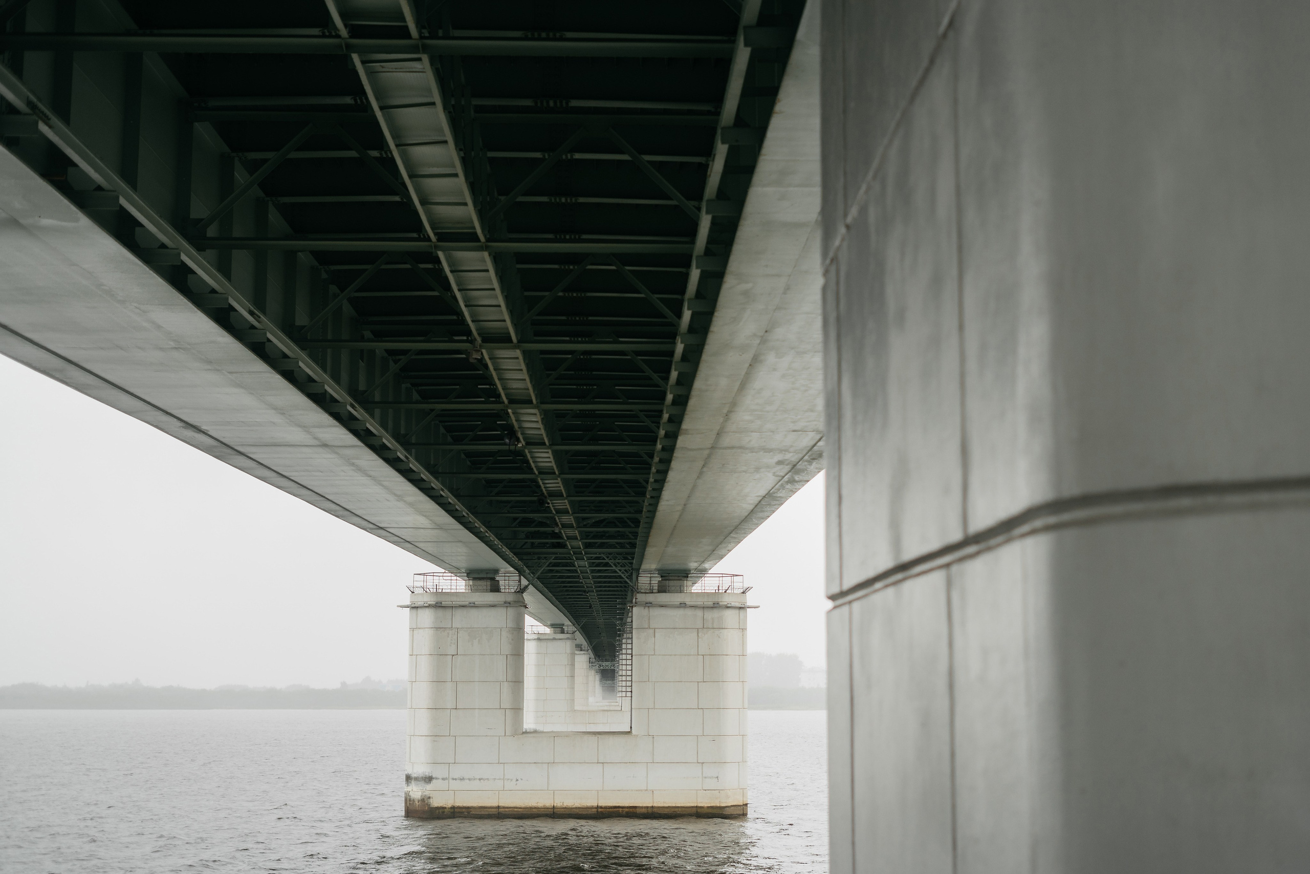 Нина Роман. Григорий и Ольга Насинник — свадебный фотограф Архангельск