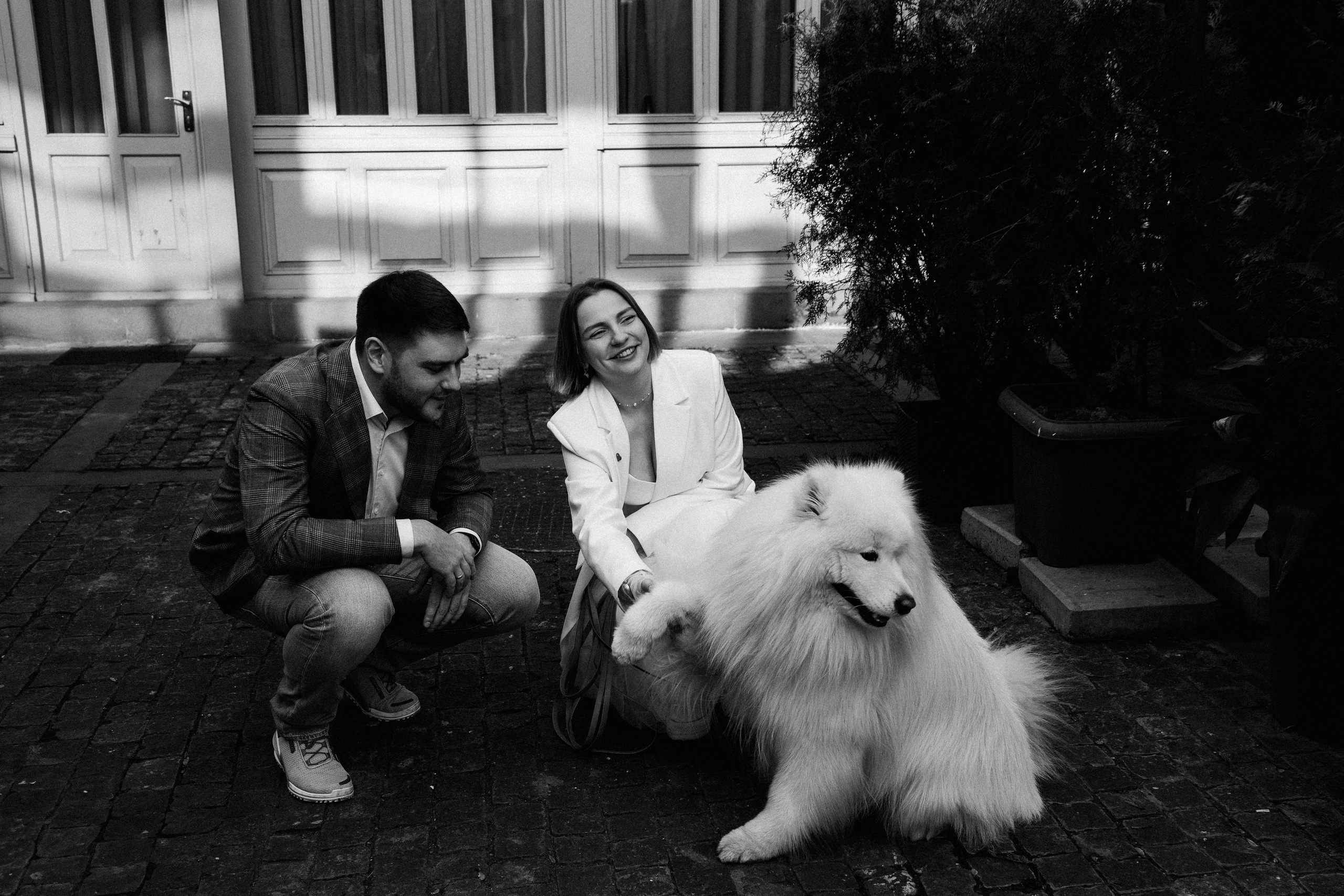 Пушистый свидетель