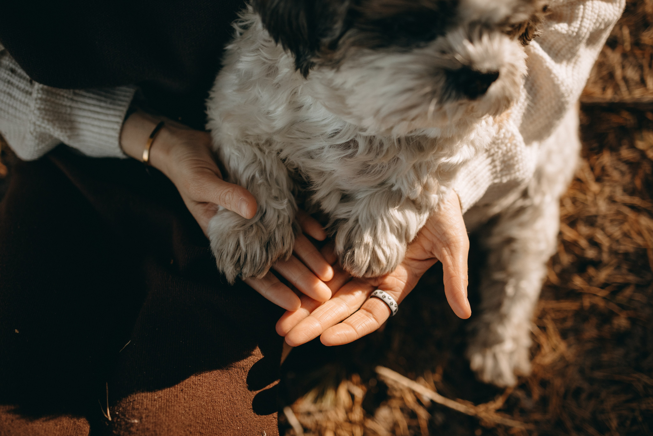 Настя и Франт. Фотограф — Анималист | Санкт-Петербург