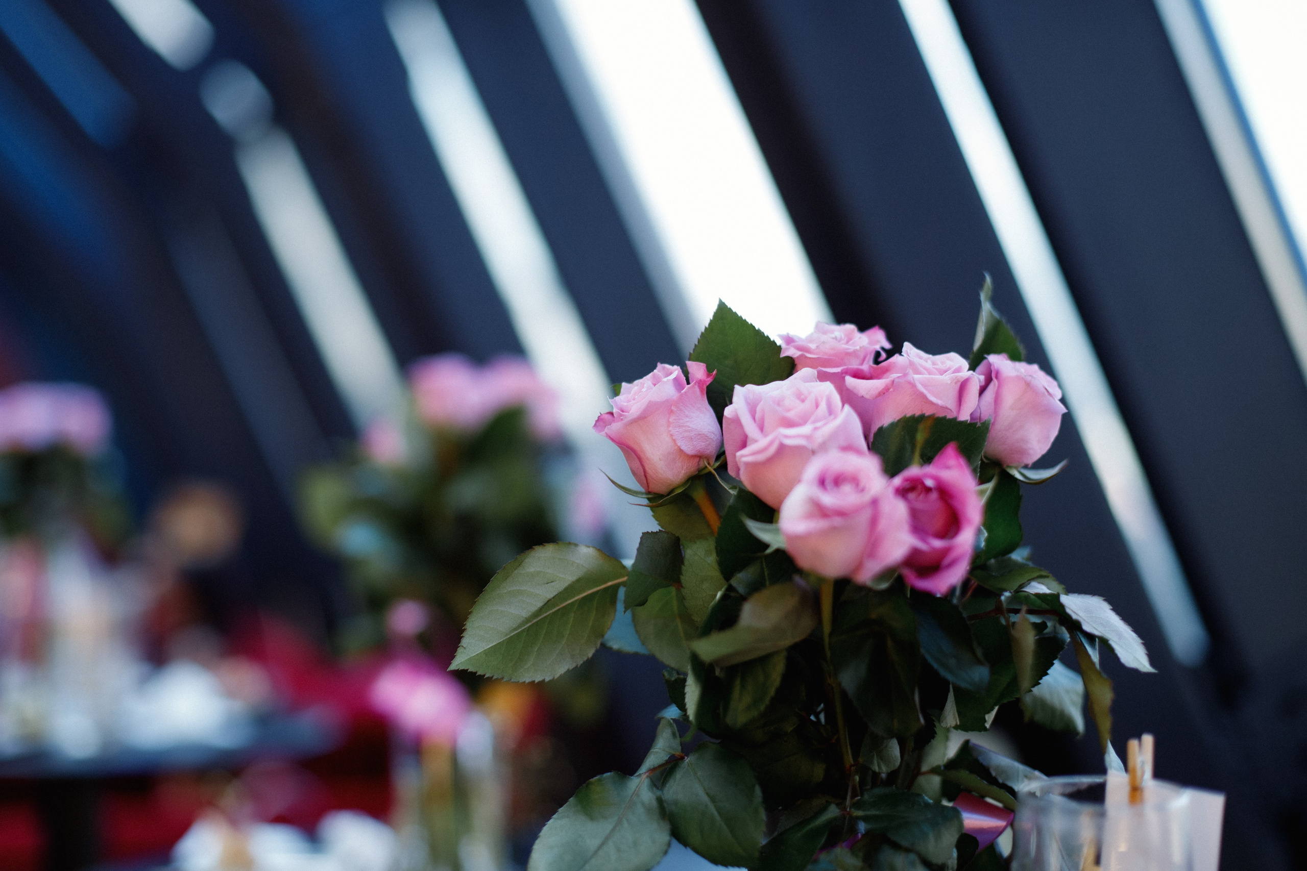 QUEEN KHV [12 ЛЕТ]. СВОИ. ФОТООТЧЕТЫ-СОБЫТИЯ-МЕСТА