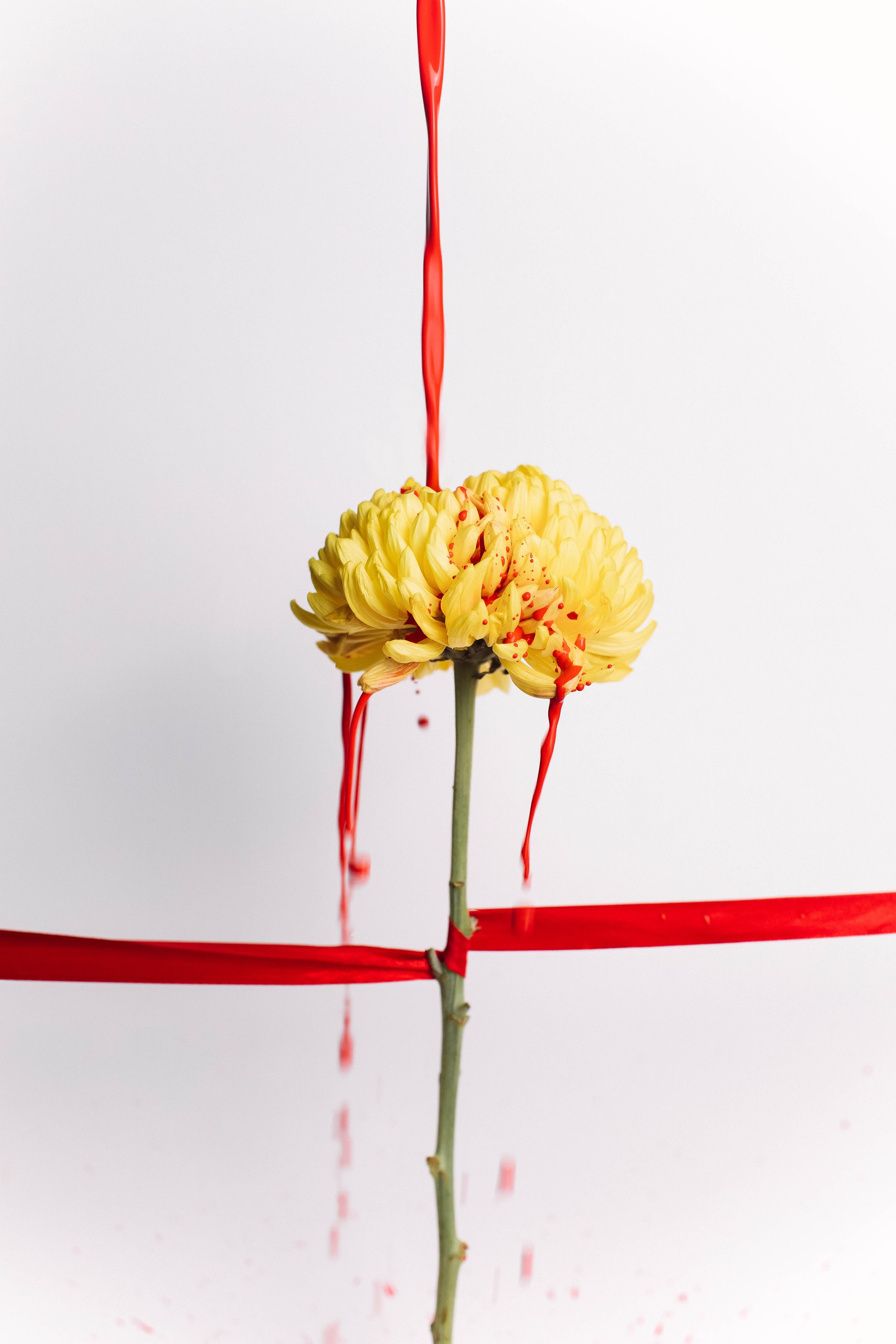 Истории. Фотограф Нижний Новгород Москва Санкт-Петербург | Щедрина Полина