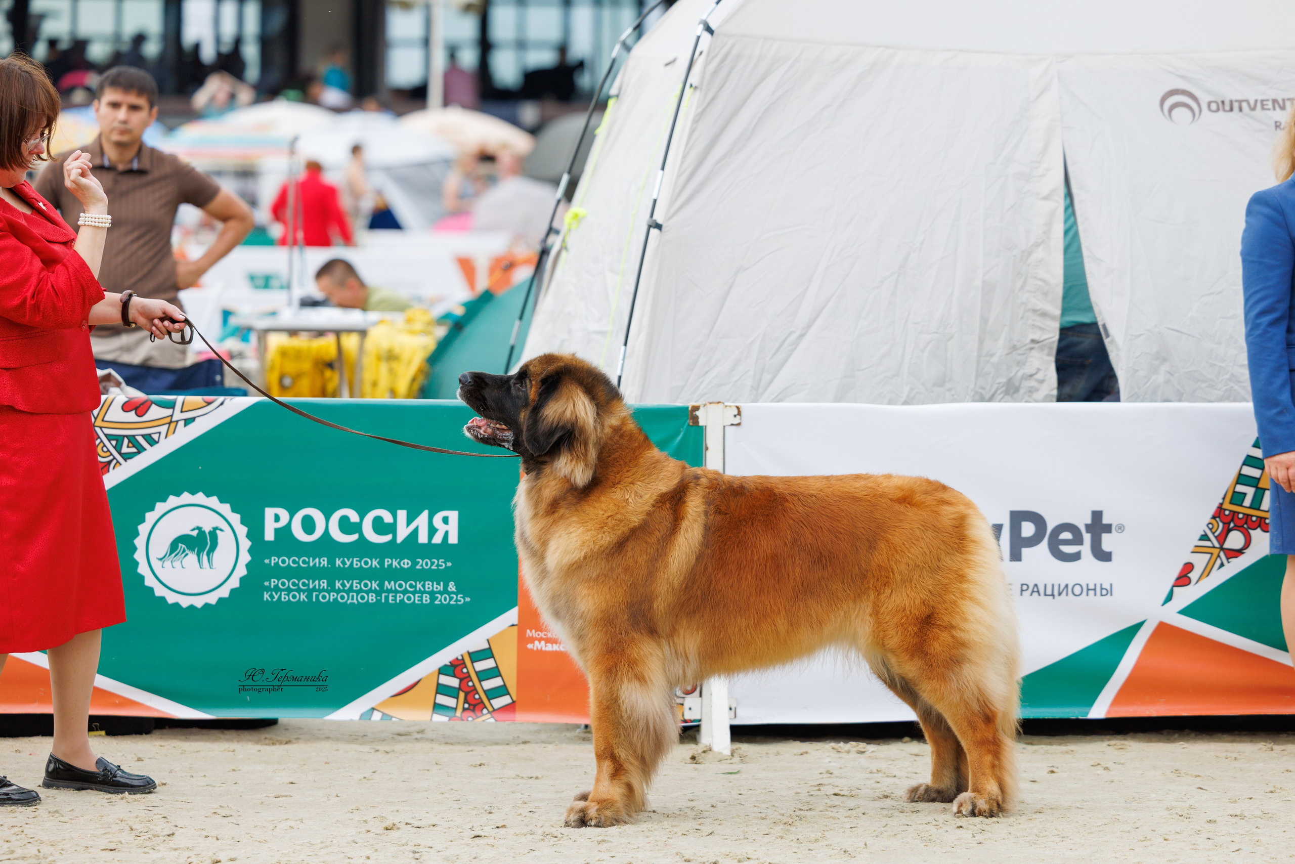 РОССИЯ 7-8.06.2025. Фотограф-анималист Юлия Германика