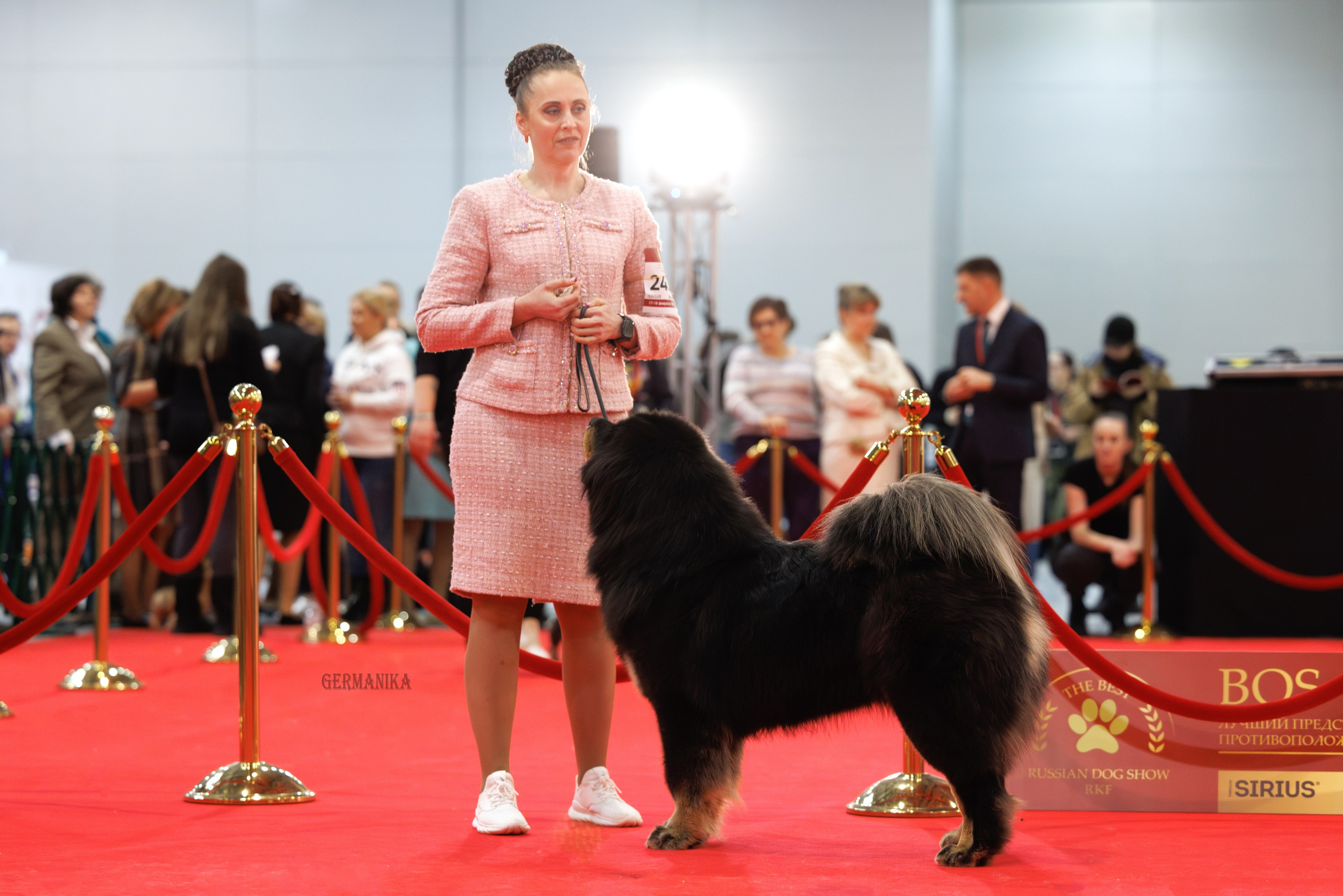Лучшие Собаки России 17-18.02.2024. Фотограф-анималист Юлия Германика