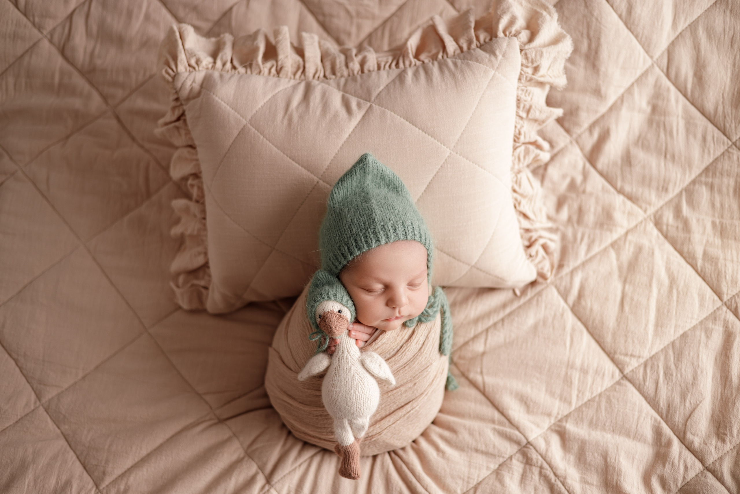 Лев. Евгения Горбунова фотограф новорожденных в Новом Уренгое