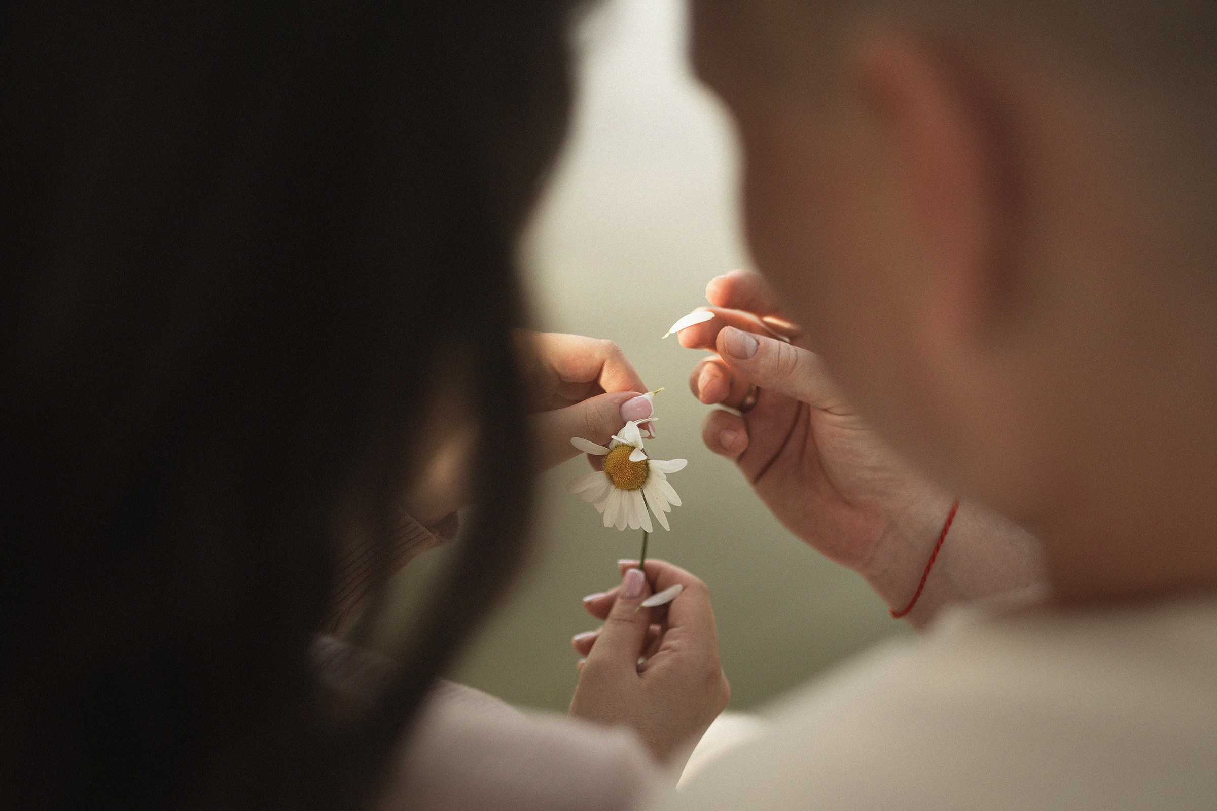 Наша ромашка. Sovushka DS