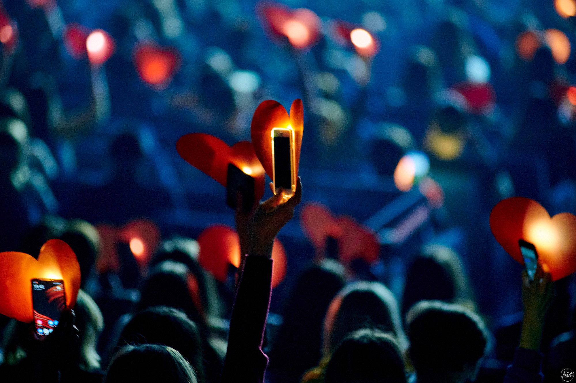 Диана Арбенина и Ночные Снайперы. Фотографии отовсюду и обо всем