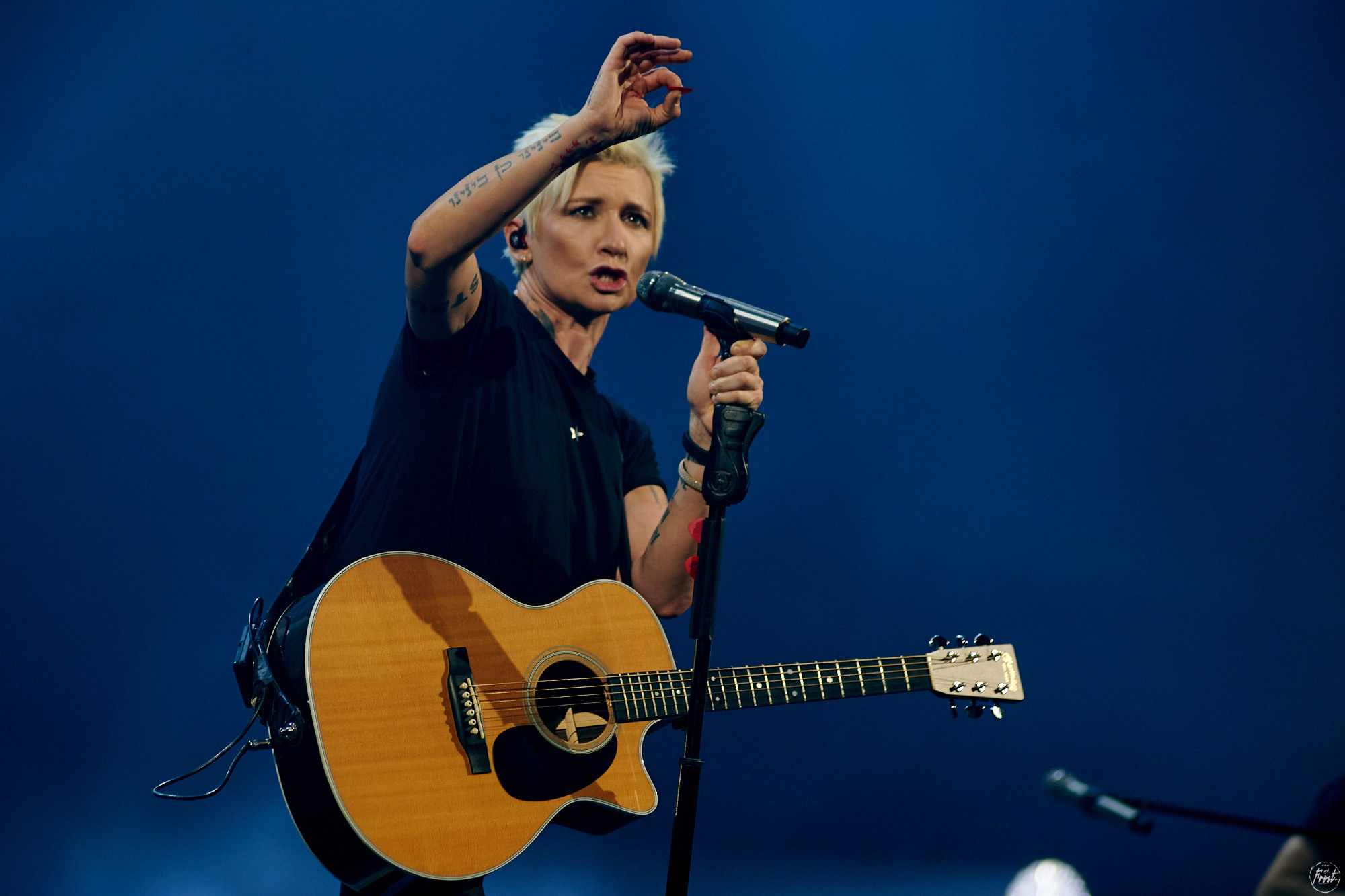 Диана Арбенина и Ночные Снайперы. Фотографии отовсюду и обо всем