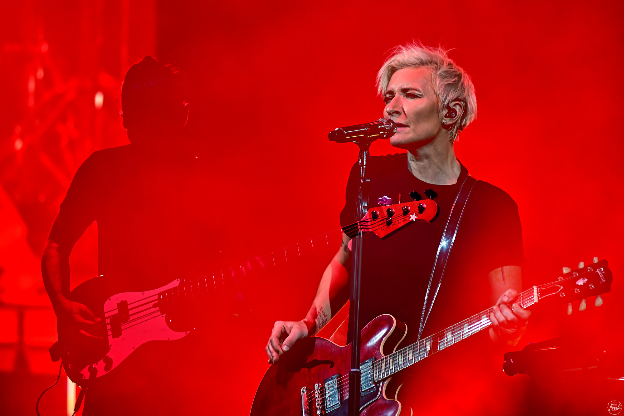 Диана Арбенина и Ночные Снайперы. Фотографии отовсюду и обо всем