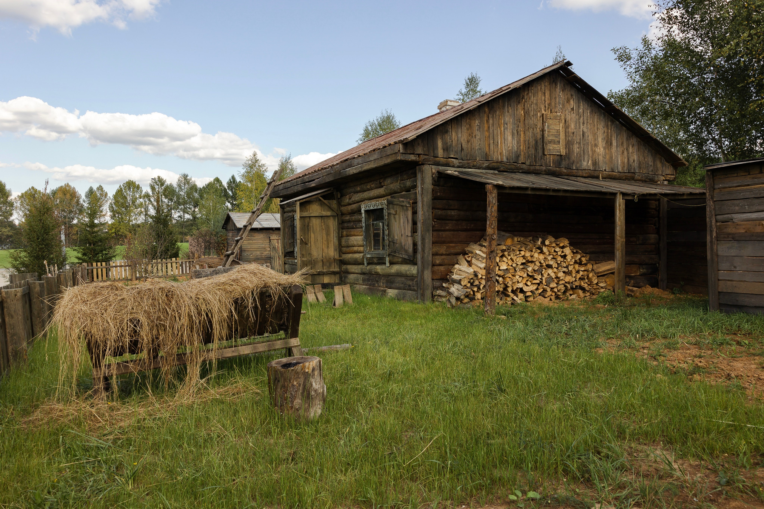 Кинопарк «Москино». Лисенкова Алиса — Фотограф, видеомейкер. Москва