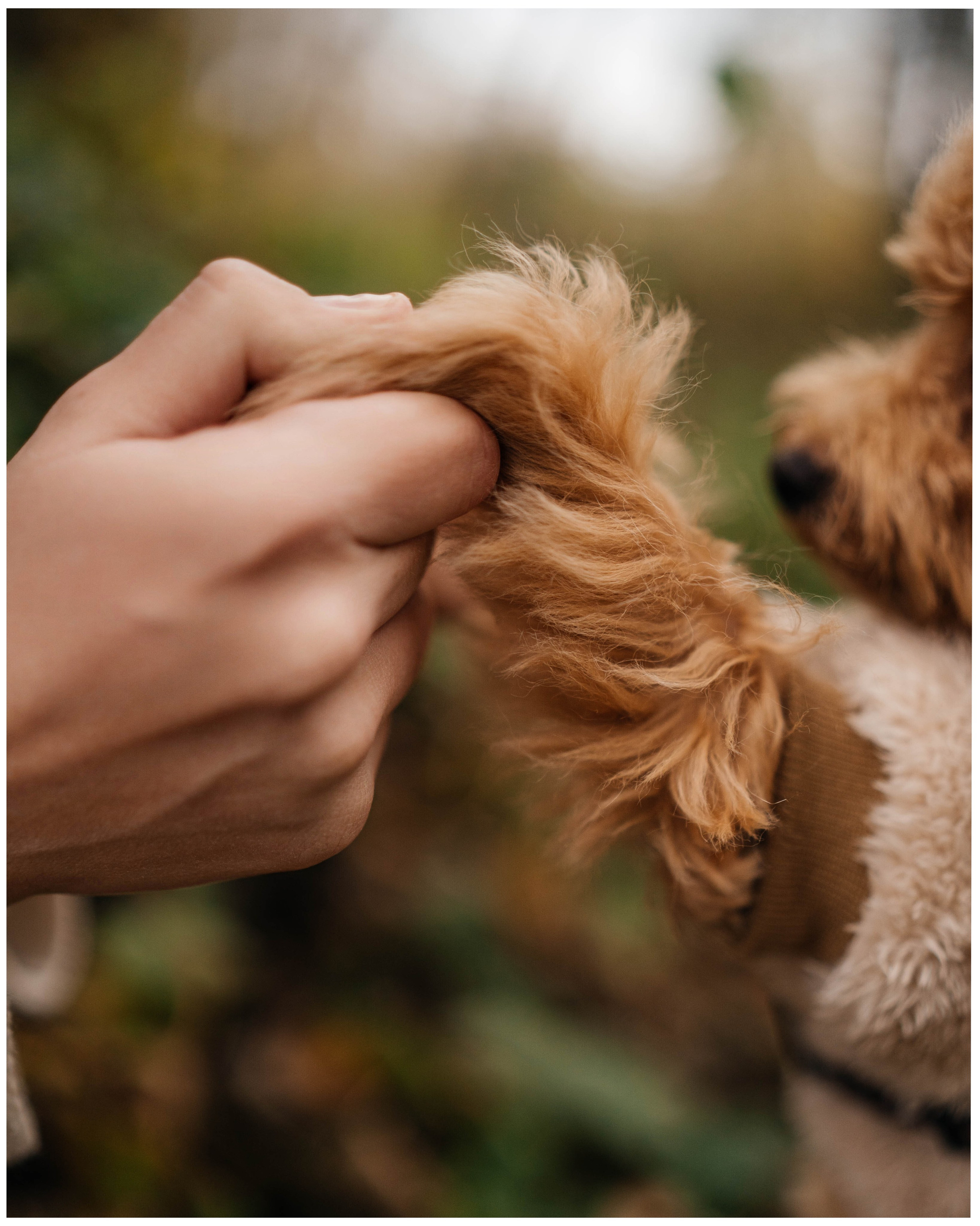 Рада и ее команда). Https://instagram.com/ana.stasia.n