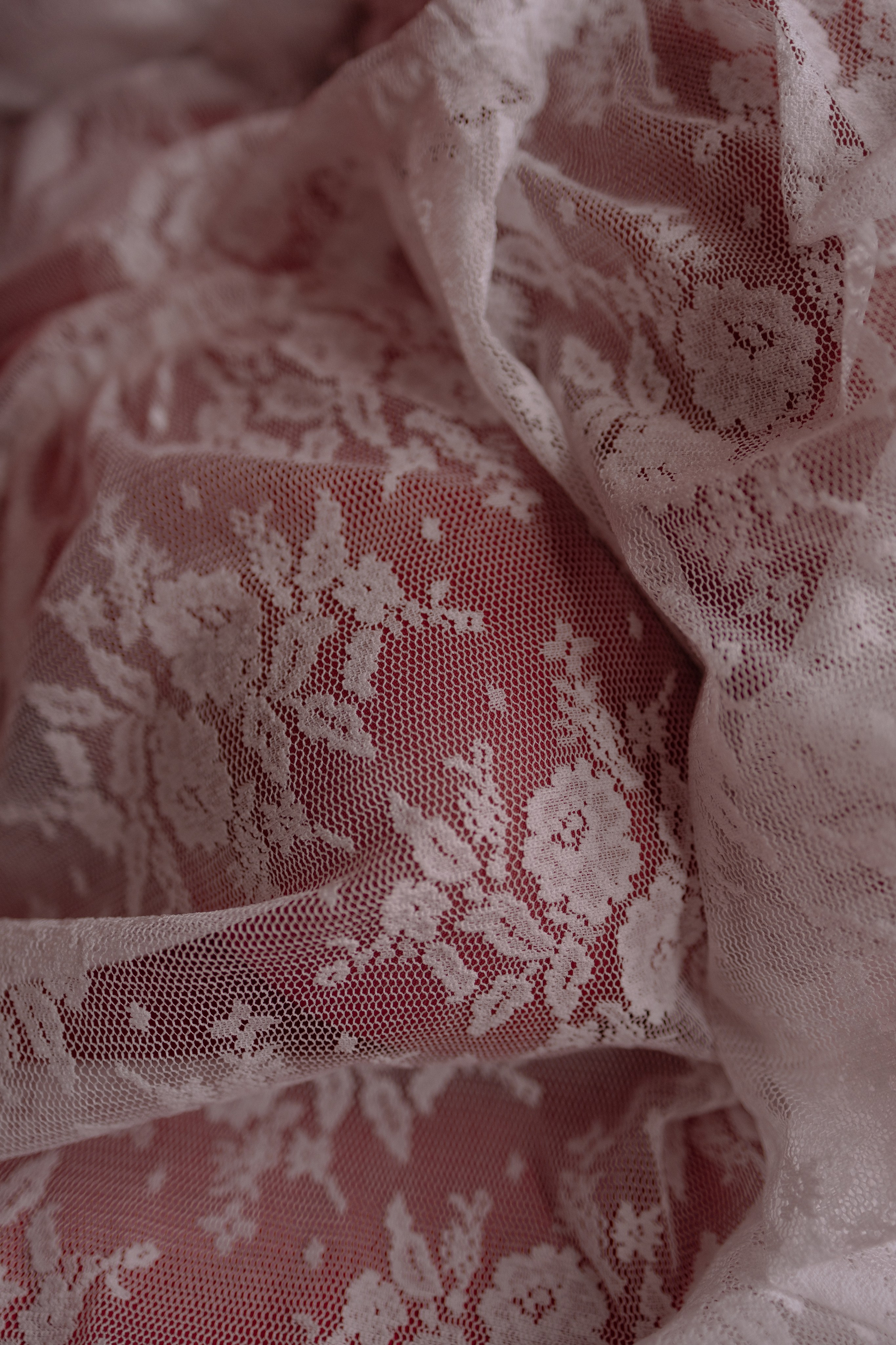 Red vibes. Фотограф Софья Гречка