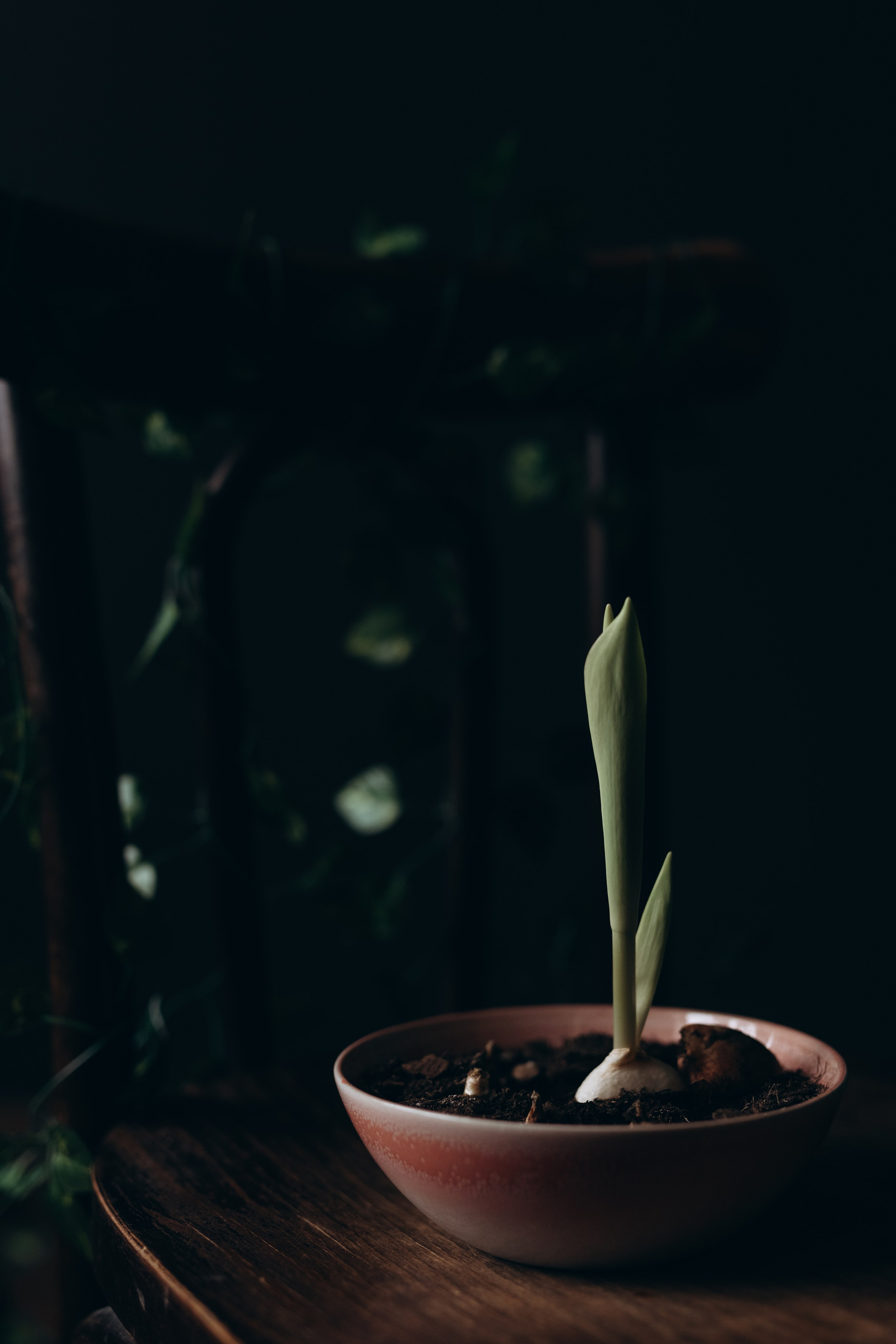 Алина. Фотограф Людмила Оюн