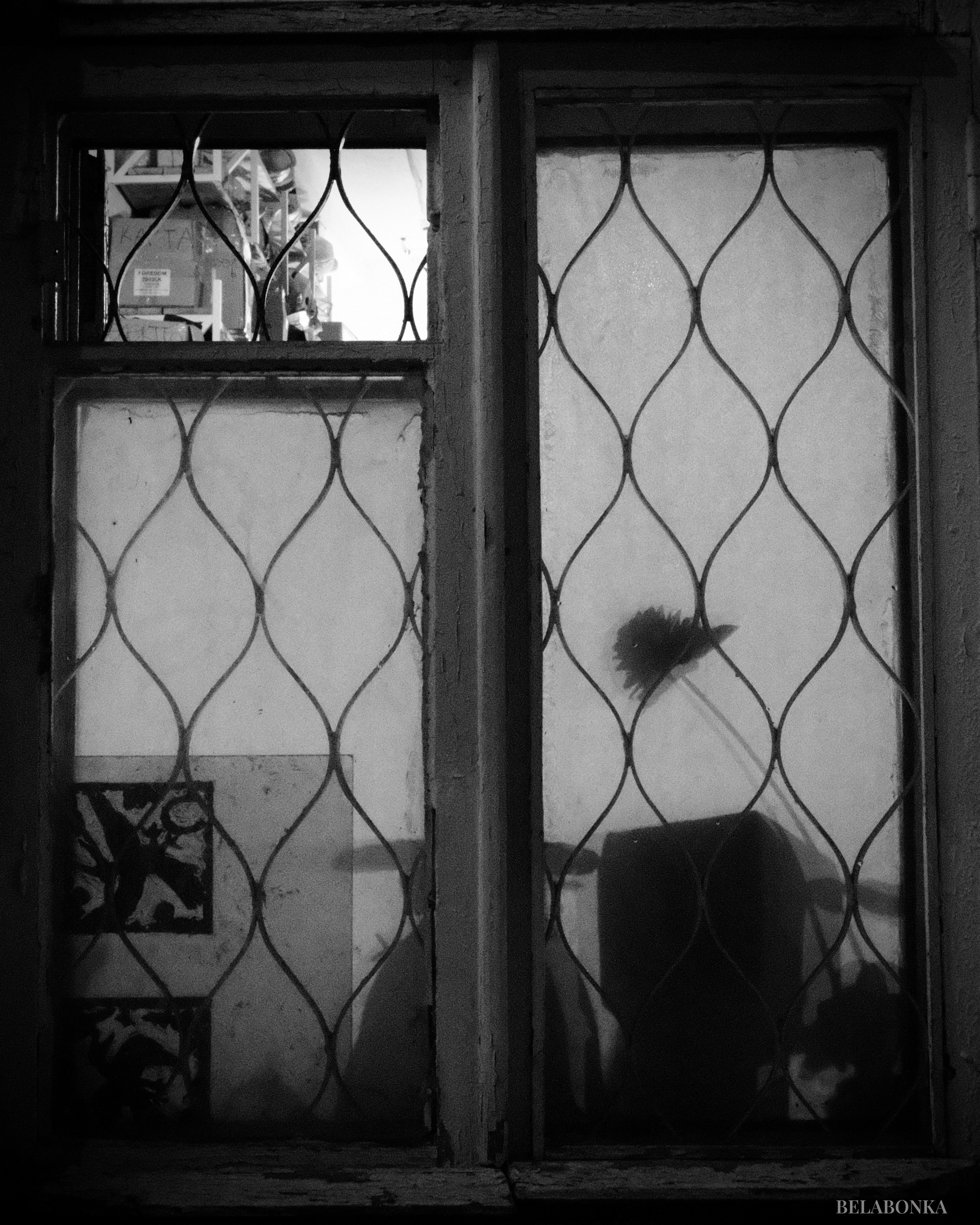 Город. Фотограф Маргана Лоция